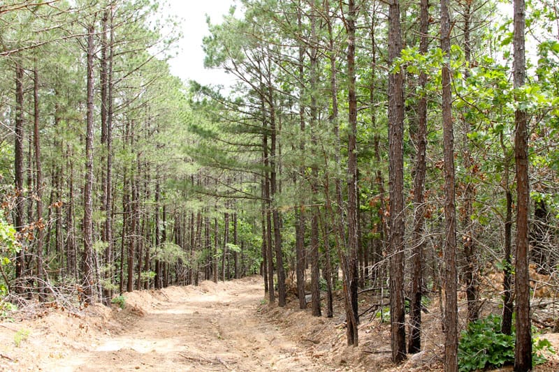 Trophy Ridge Phase II Tract 97 photo 1
