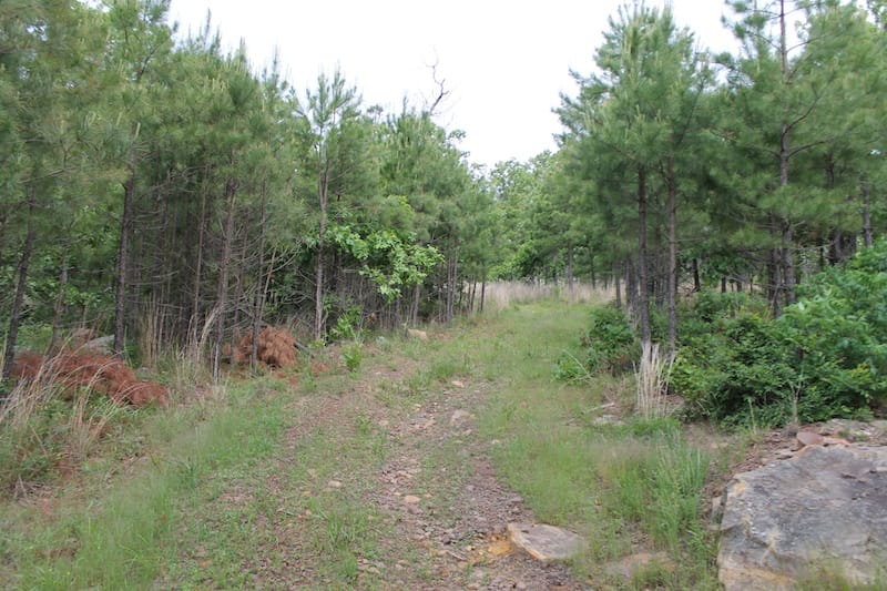Indian Ridge – Phase II Tract 70 photo 1