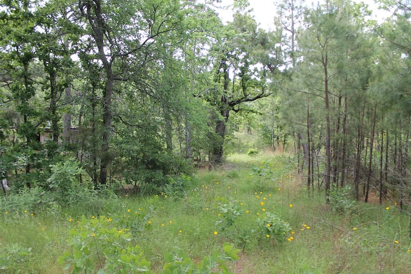 Indian Ridge – Phase II Tract 70 photo 2