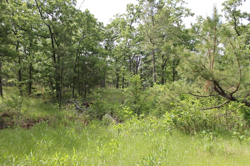 Indian Ridge – Phase II Tract 70 photo 4
