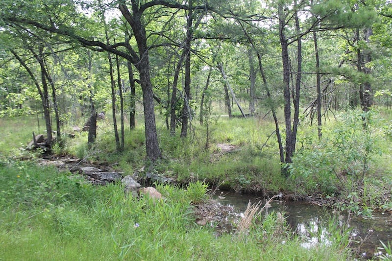 Indian Ridge – Phase II Tract 70 photo 5
