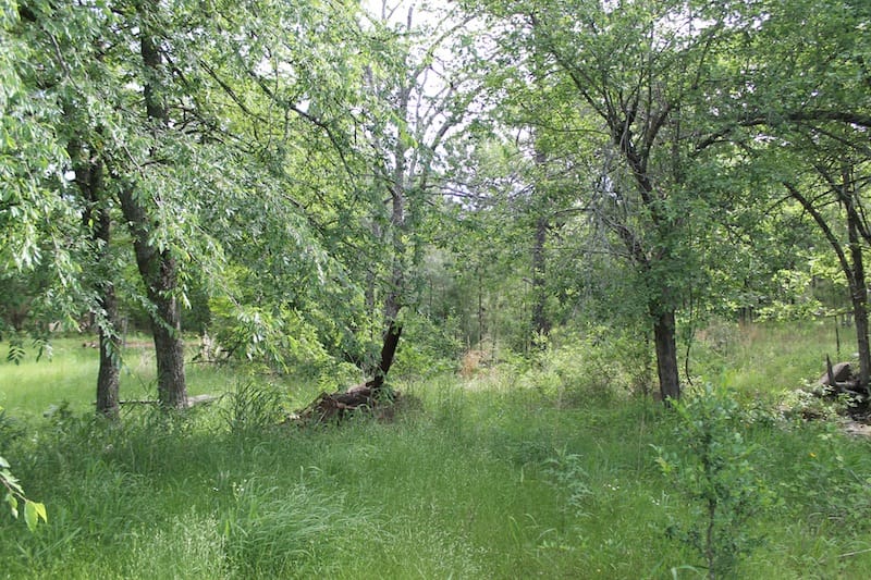 Indian Ridge – Phase II Tract 70 photo 6