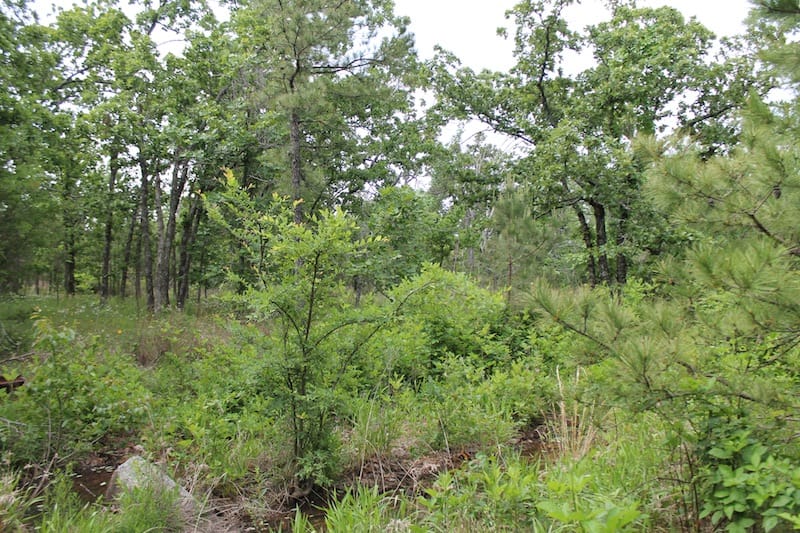 Indian Ridge – Phase II Tract 70 photo 7