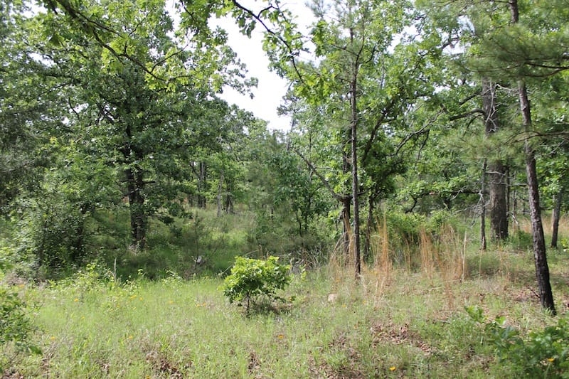Indian Ridge – Phase II Tract 70 photo 9