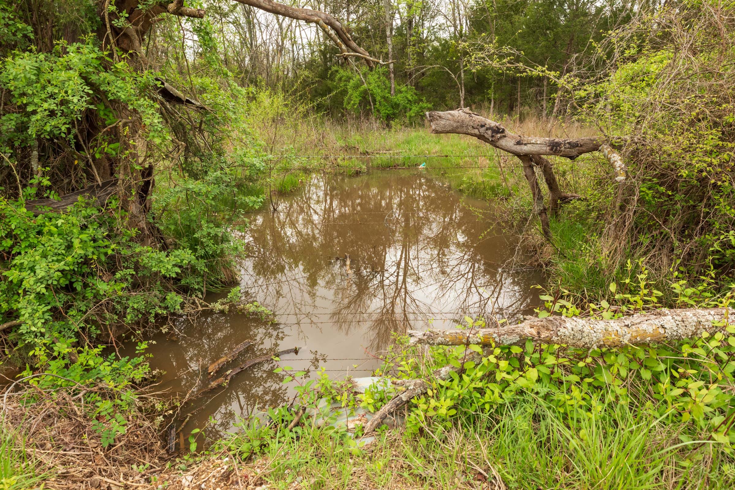 Moonrise Meadows Tract 25 photo 5