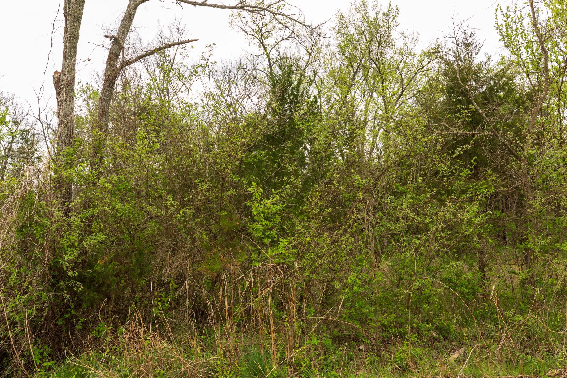 Moonrise Meadows Tract 25 photo 9
