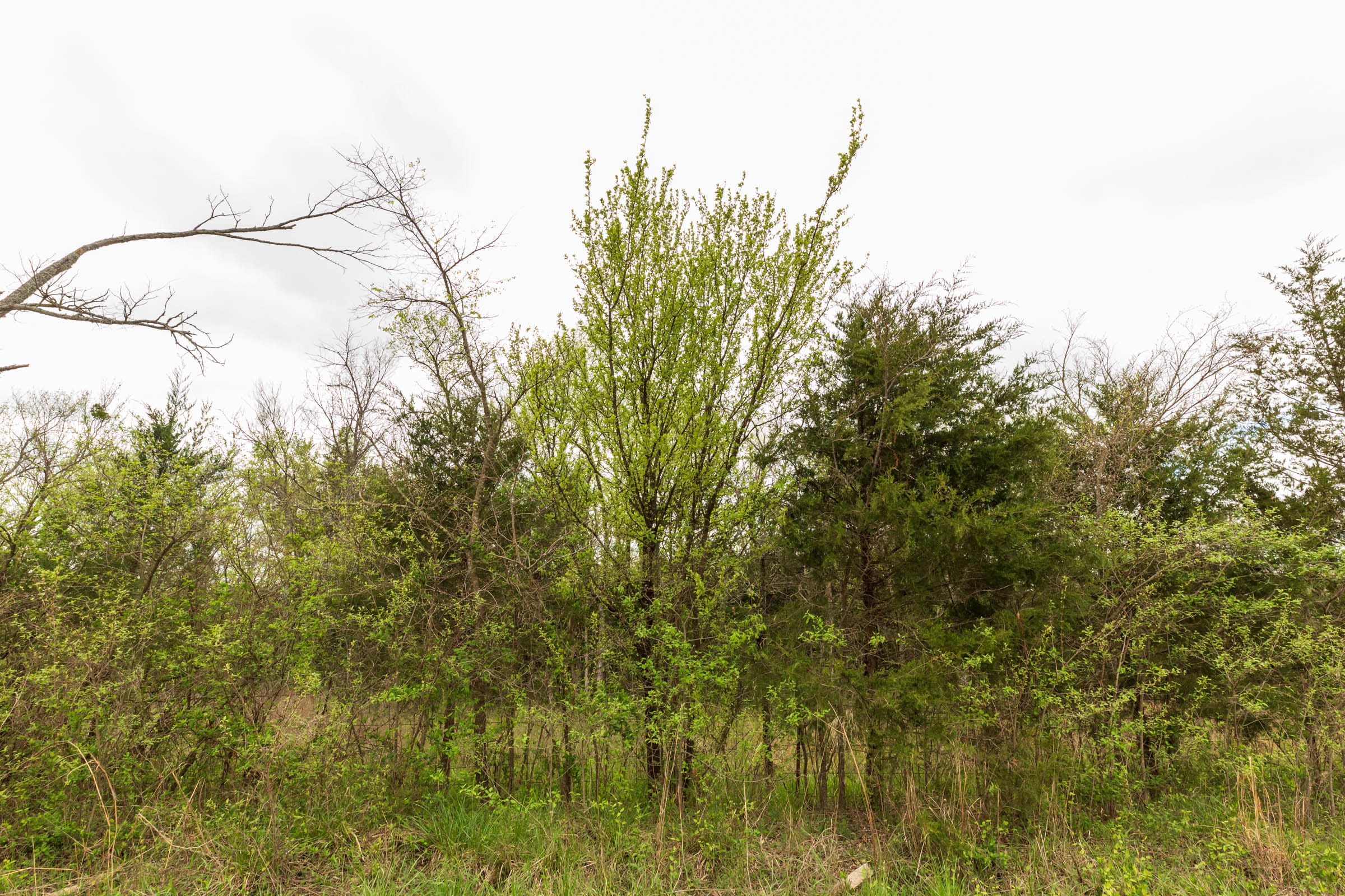 Moonrise Meadows Tract 25 photo 10