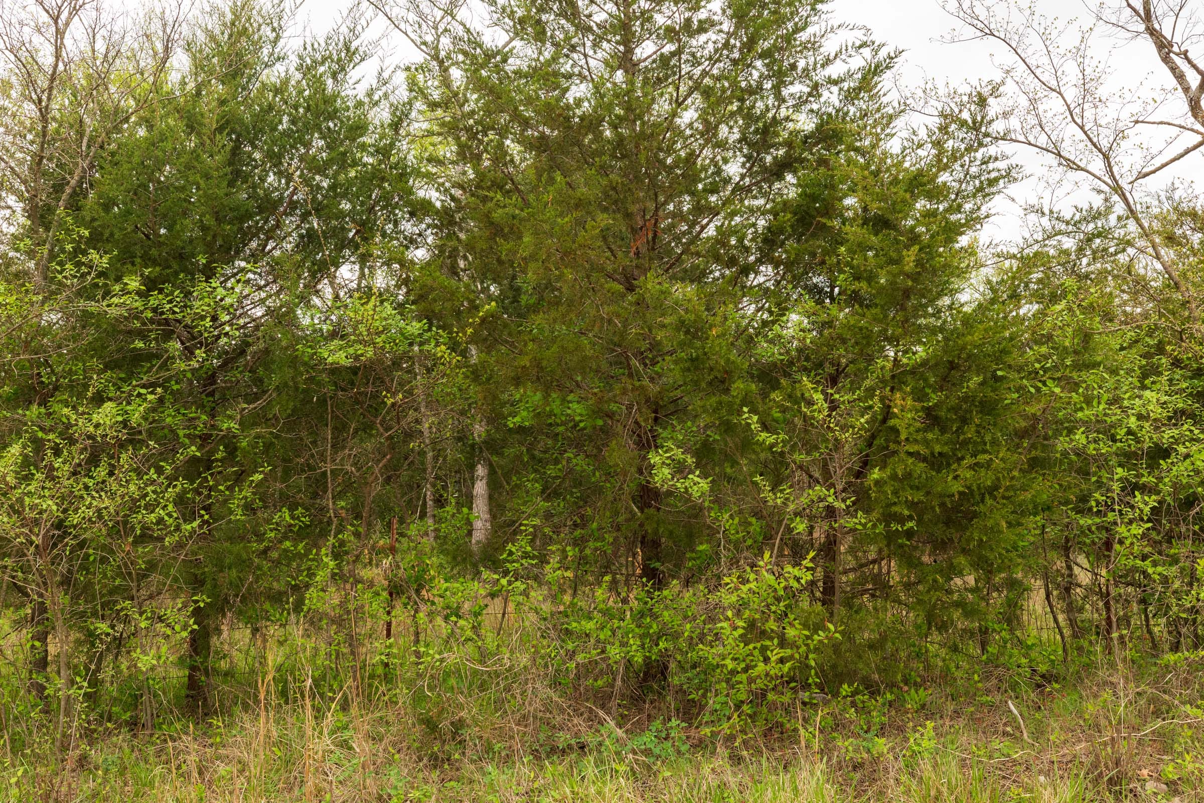 Moonrise Meadows Tract 25 photo 11