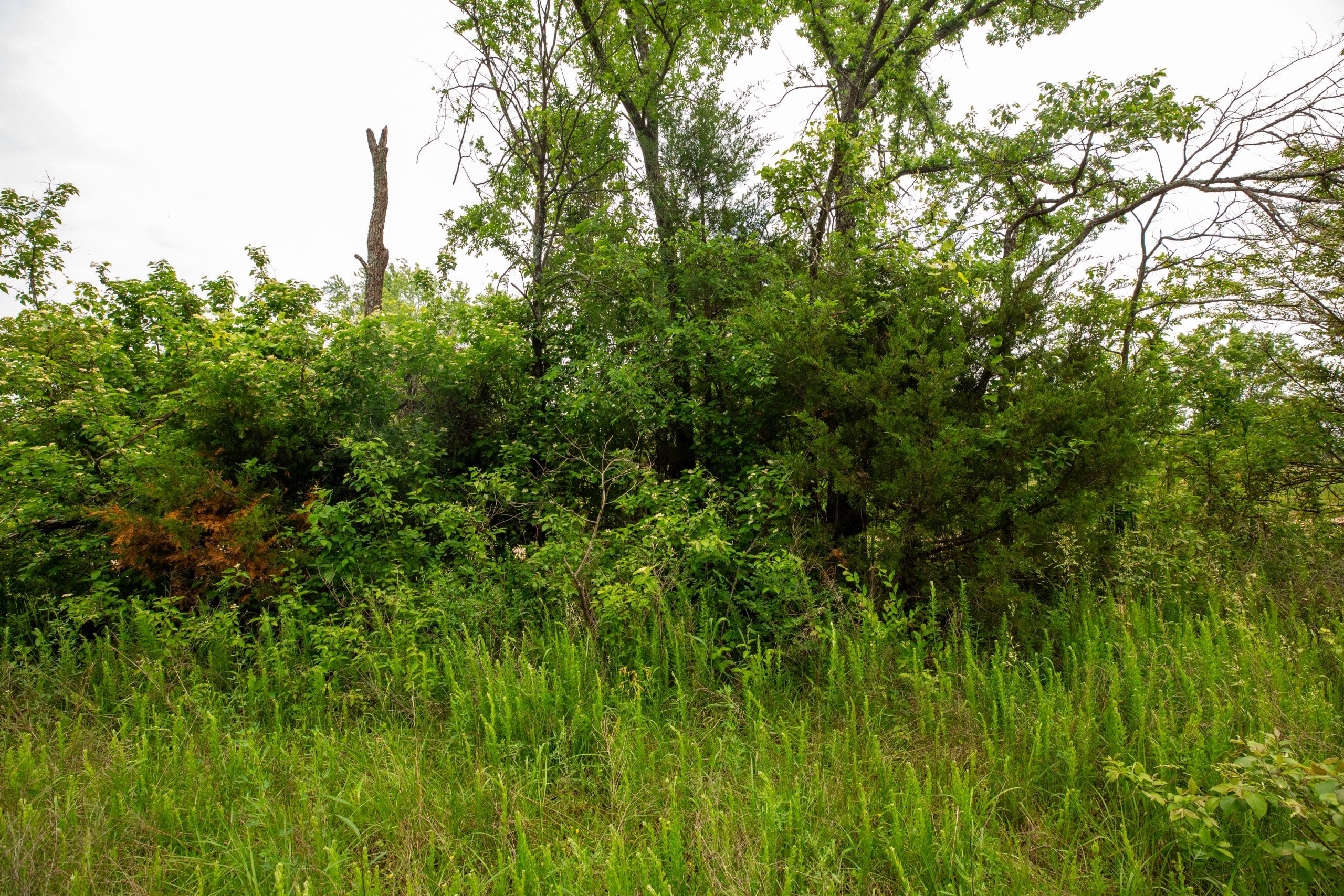 Moonrise Meadows Tract 25 photo 14