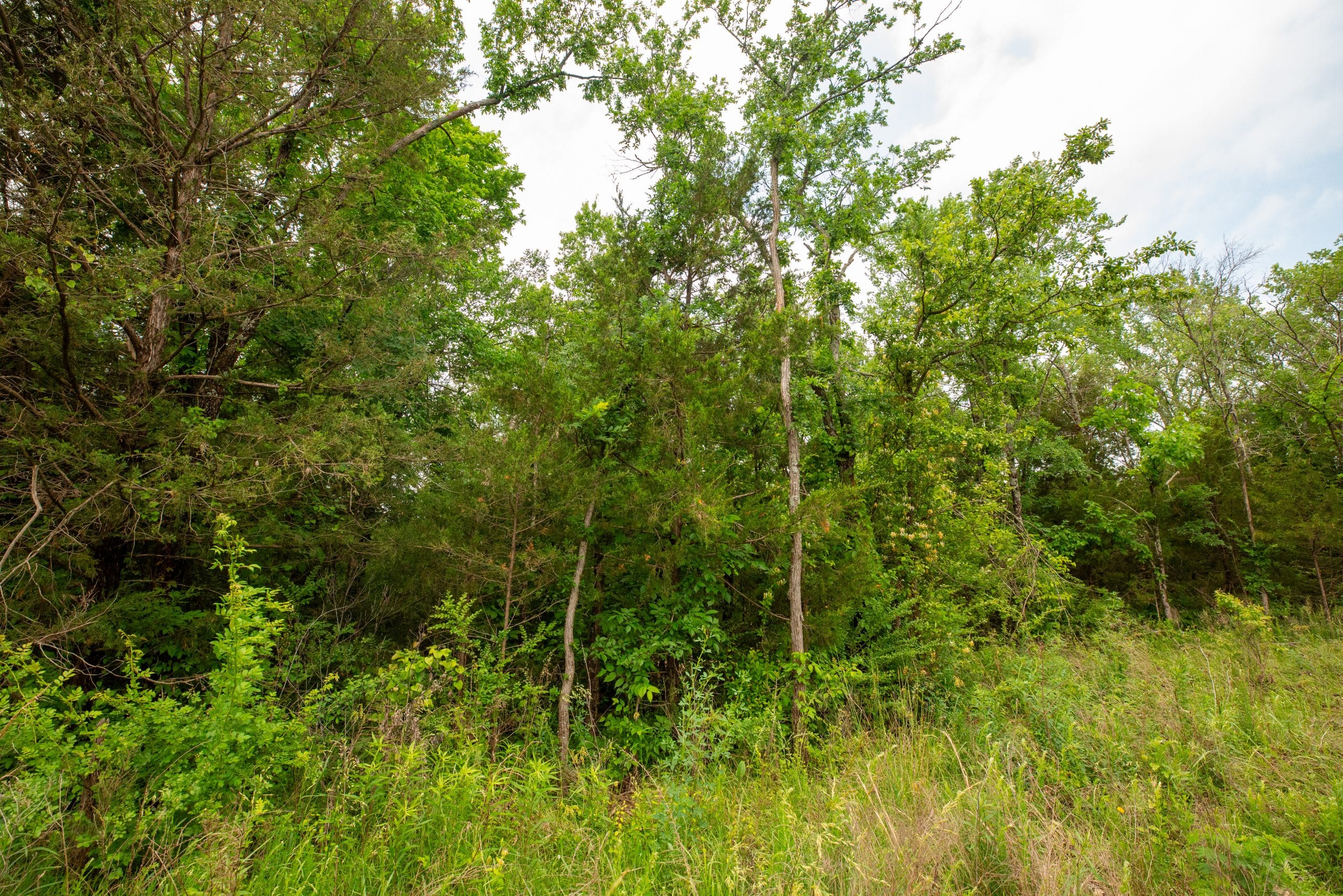 Moonrise Meadows Tract 25 photo 17