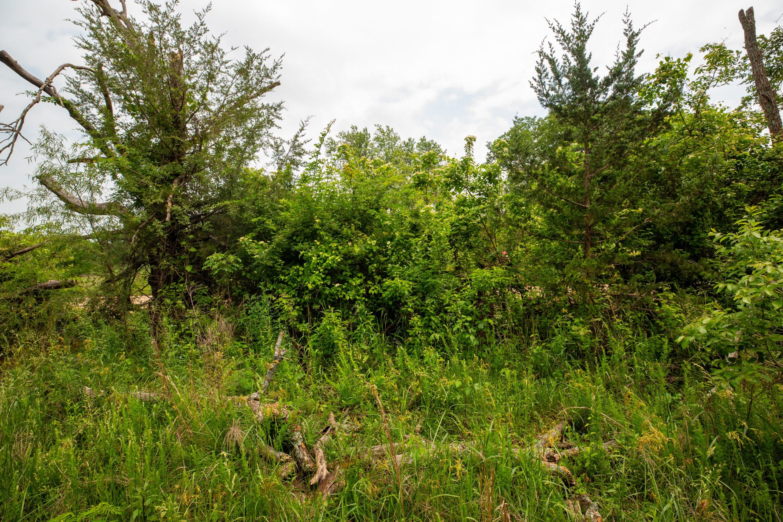 Moonrise Meadows Tract 25 photo 6