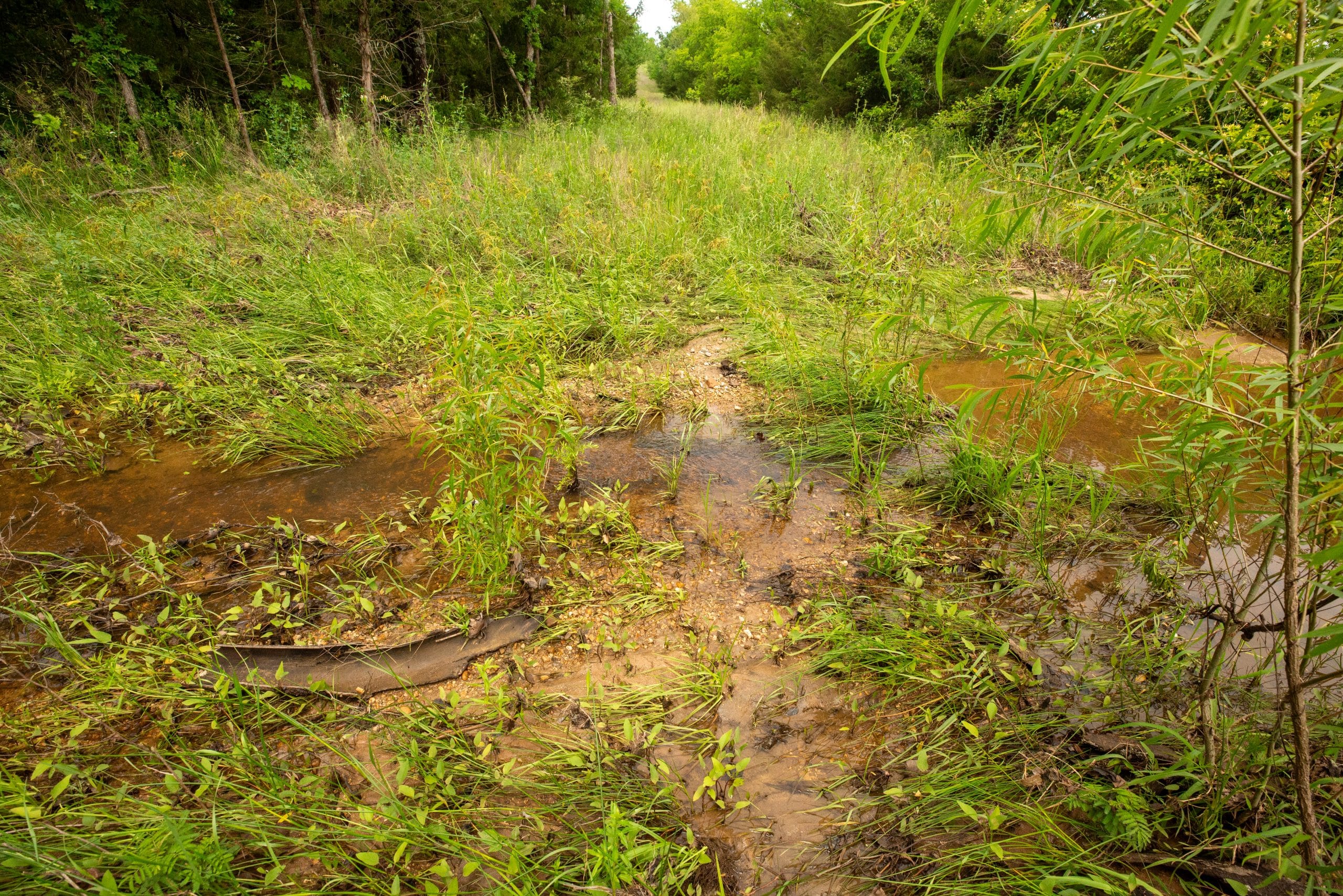 Moonrise Meadows Tract 25 photo 3