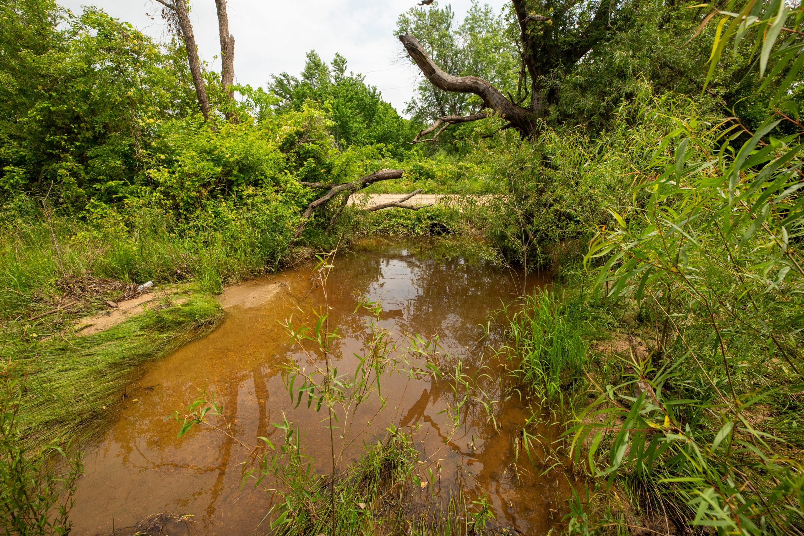 Moonrise Meadows Tract 25 photo 2