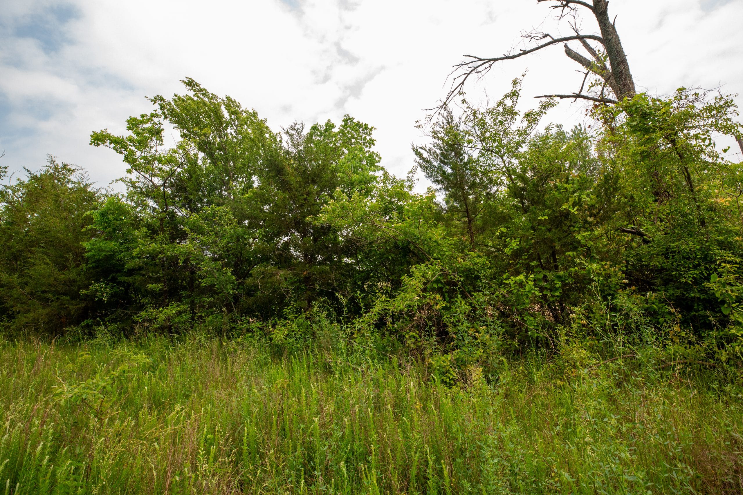 Moonrise Meadows Tract 25 photo 24