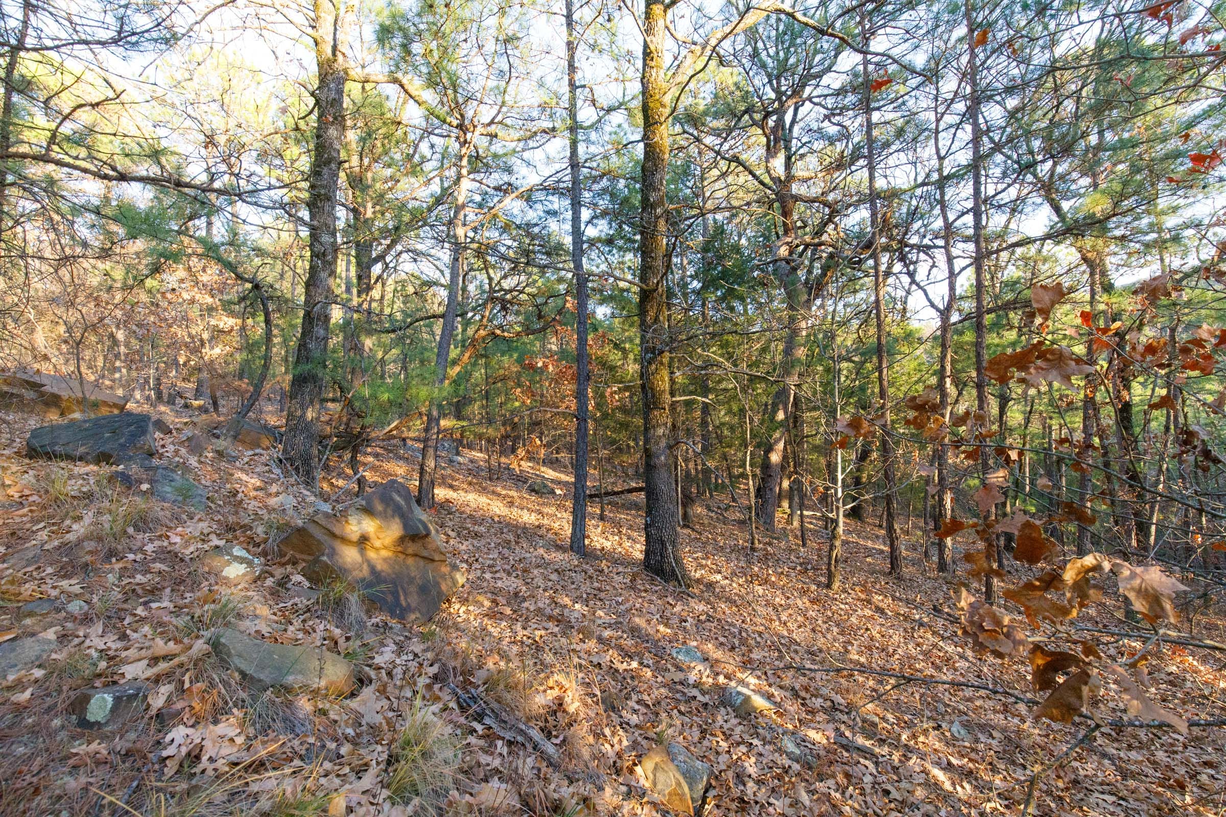 Stone Bridge Phase II Tract 120 photo 2