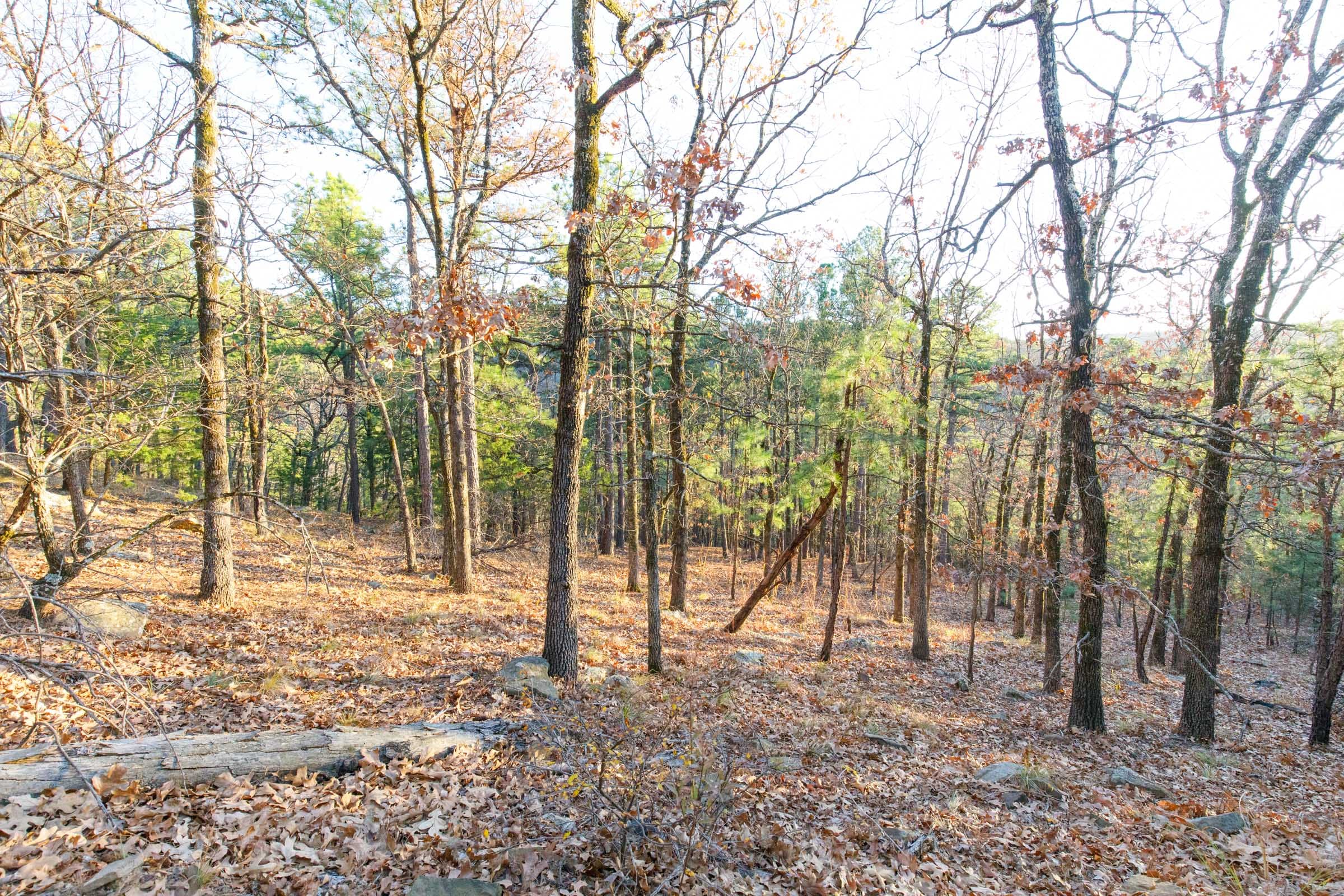 Stone Bridge Phase II Tract 120 photo 5