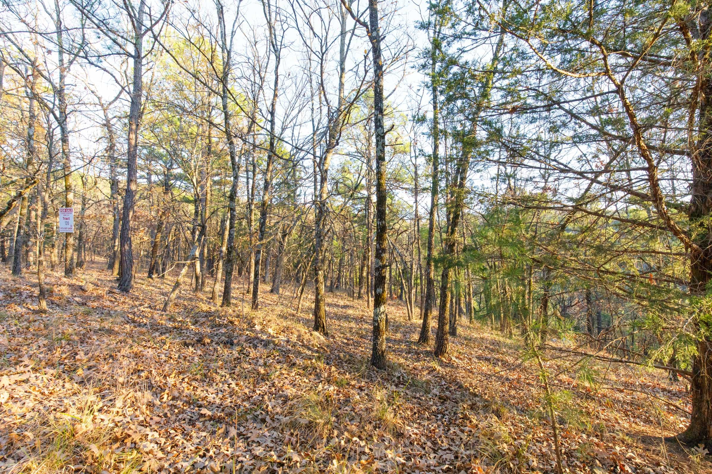 Stone Bridge Phase II Tract 120 photo 7