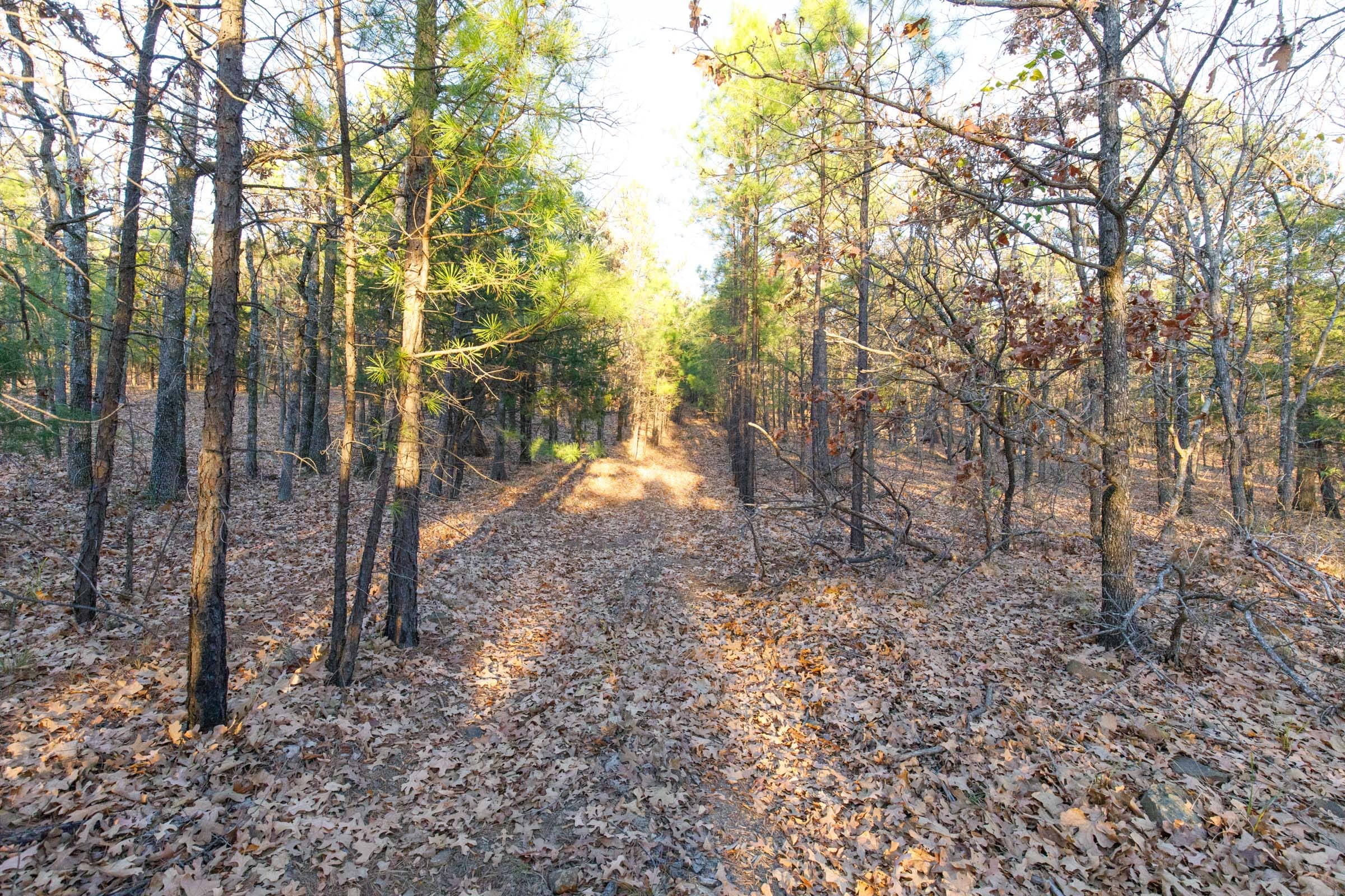 Stone Bridge Phase II Tract 120 photo 1