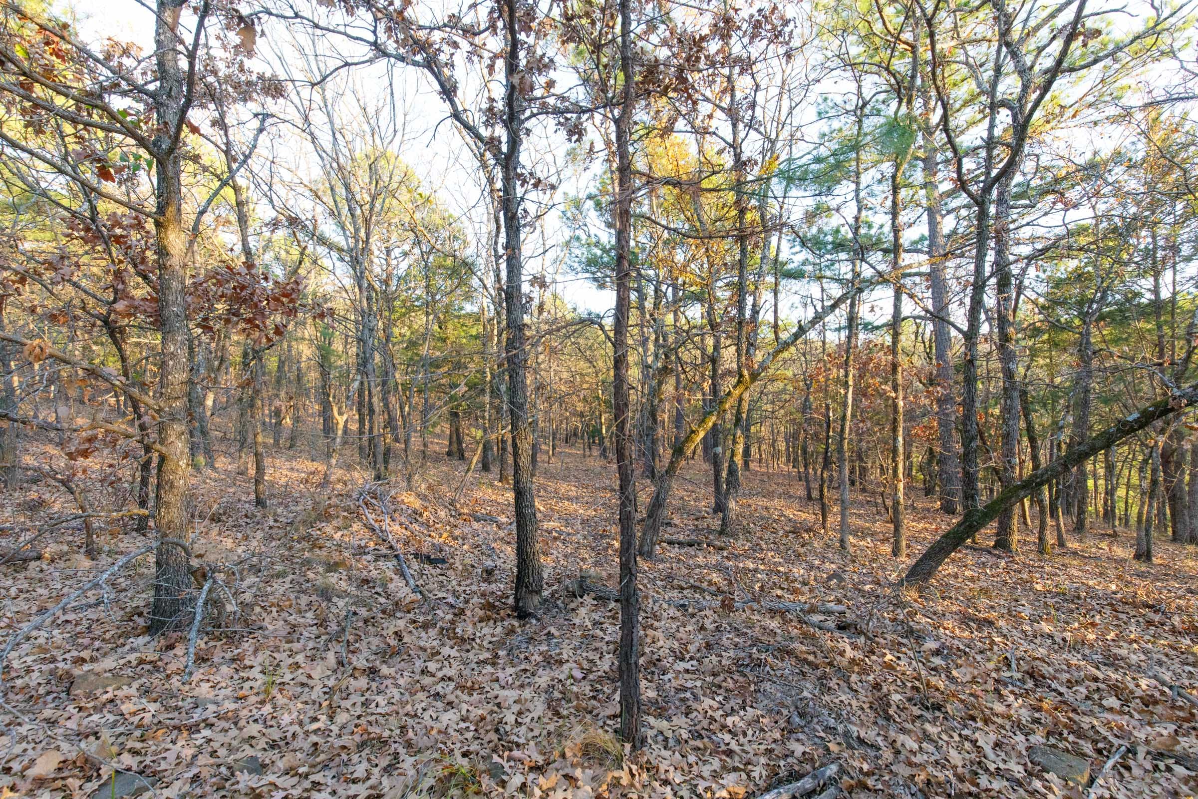 Stone Bridge Phase II Tract 120 photo 8