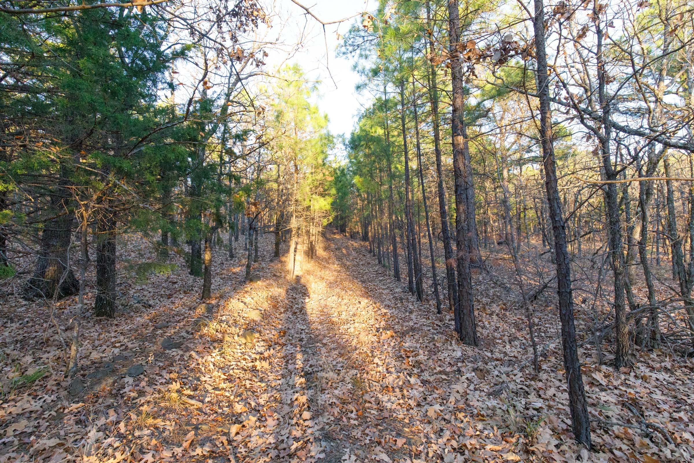 Stone Bridge Phase II Tract 120 photo 10