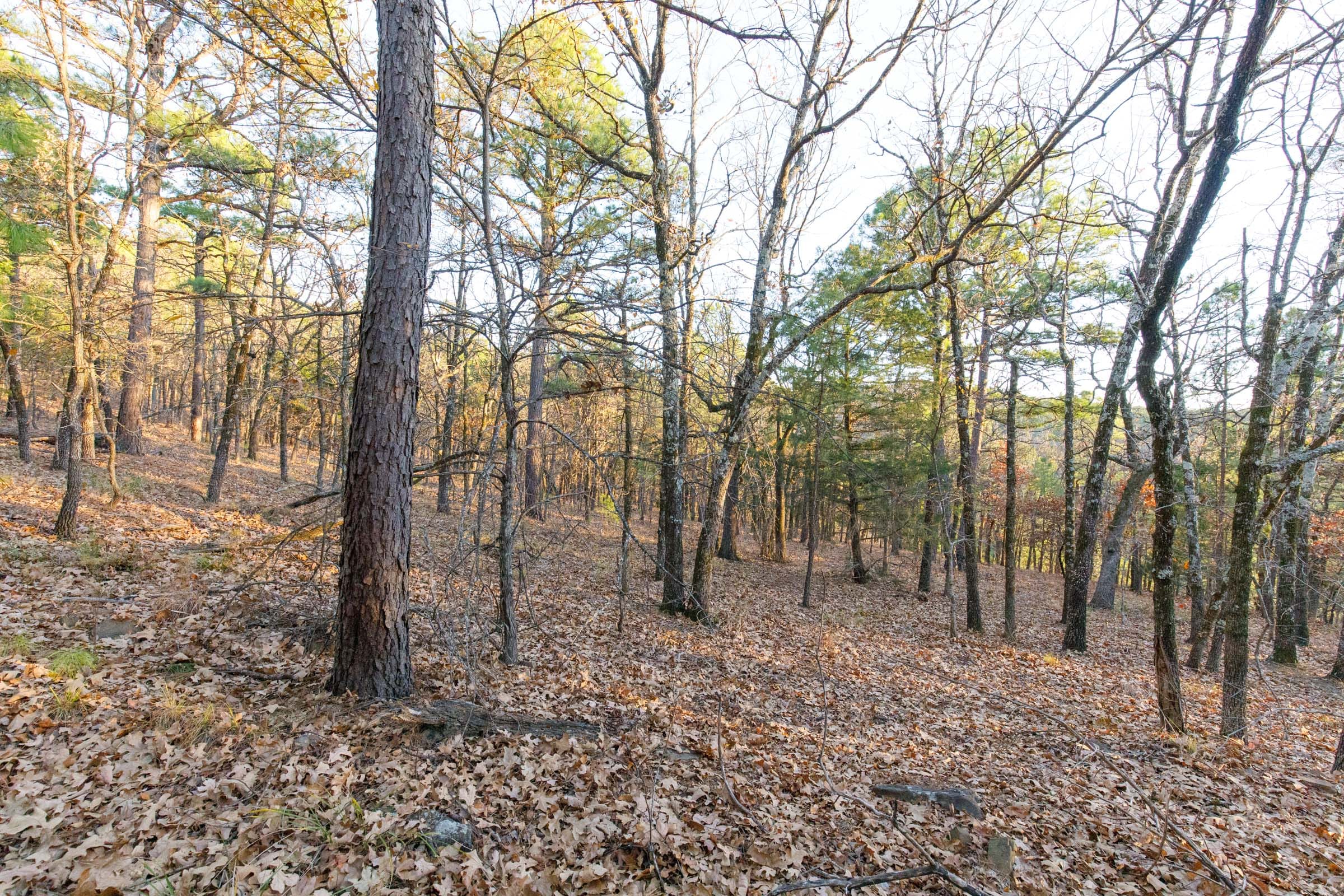 Stone Bridge Phase II Tract 120 photo 11