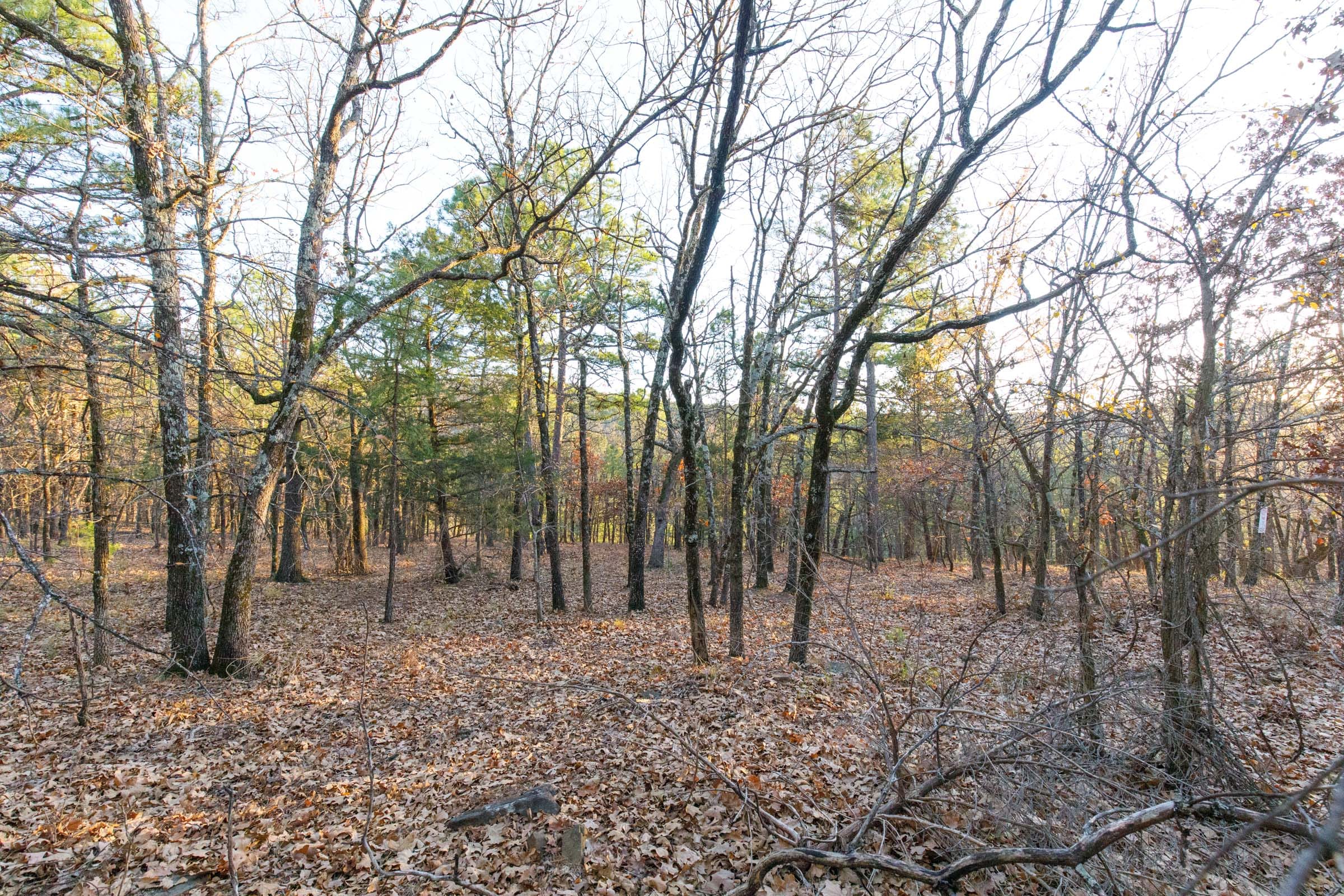 Stone Bridge Phase II Tract 120 photo 12