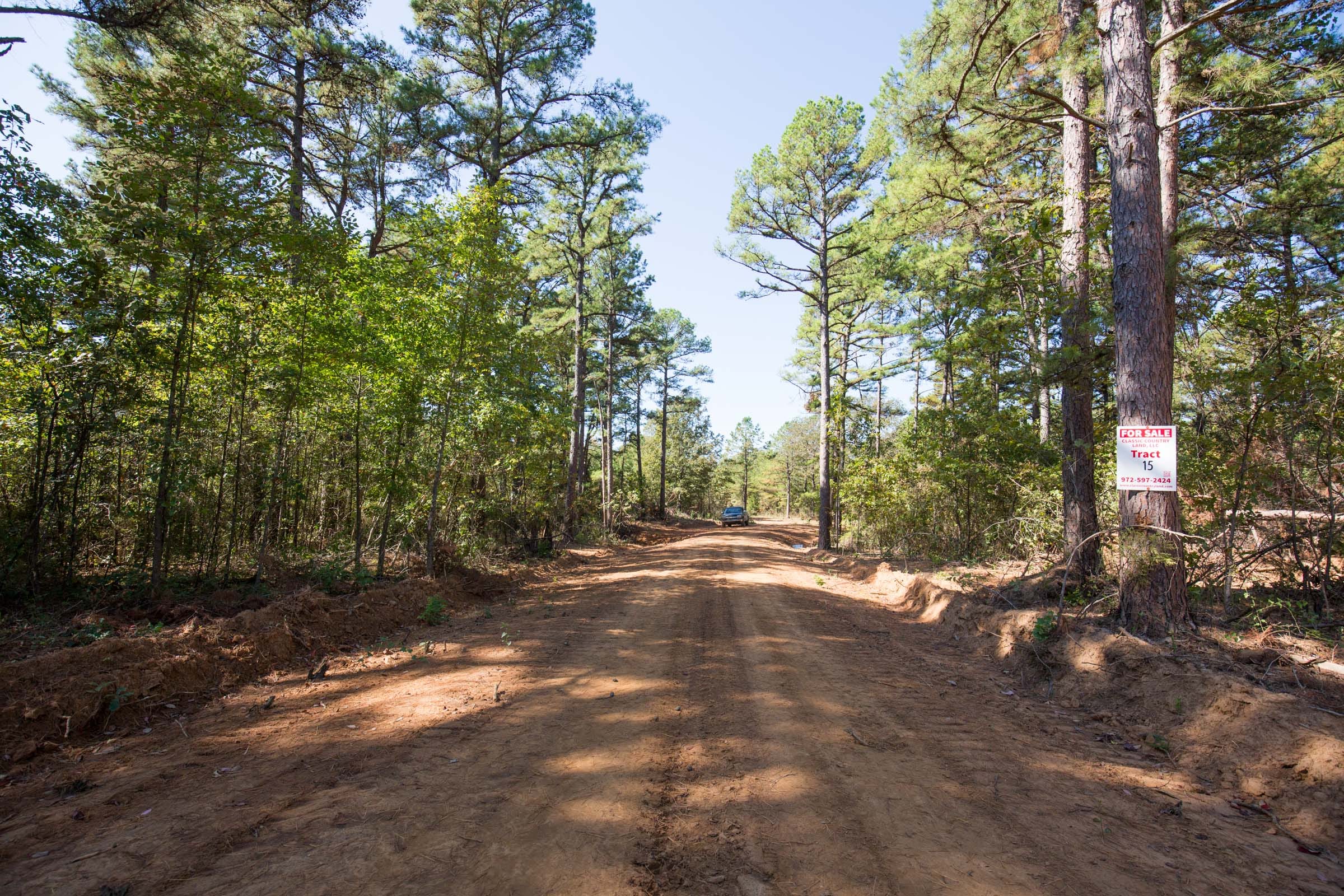 Stone Bridge Phase I Tract 15 photo 5