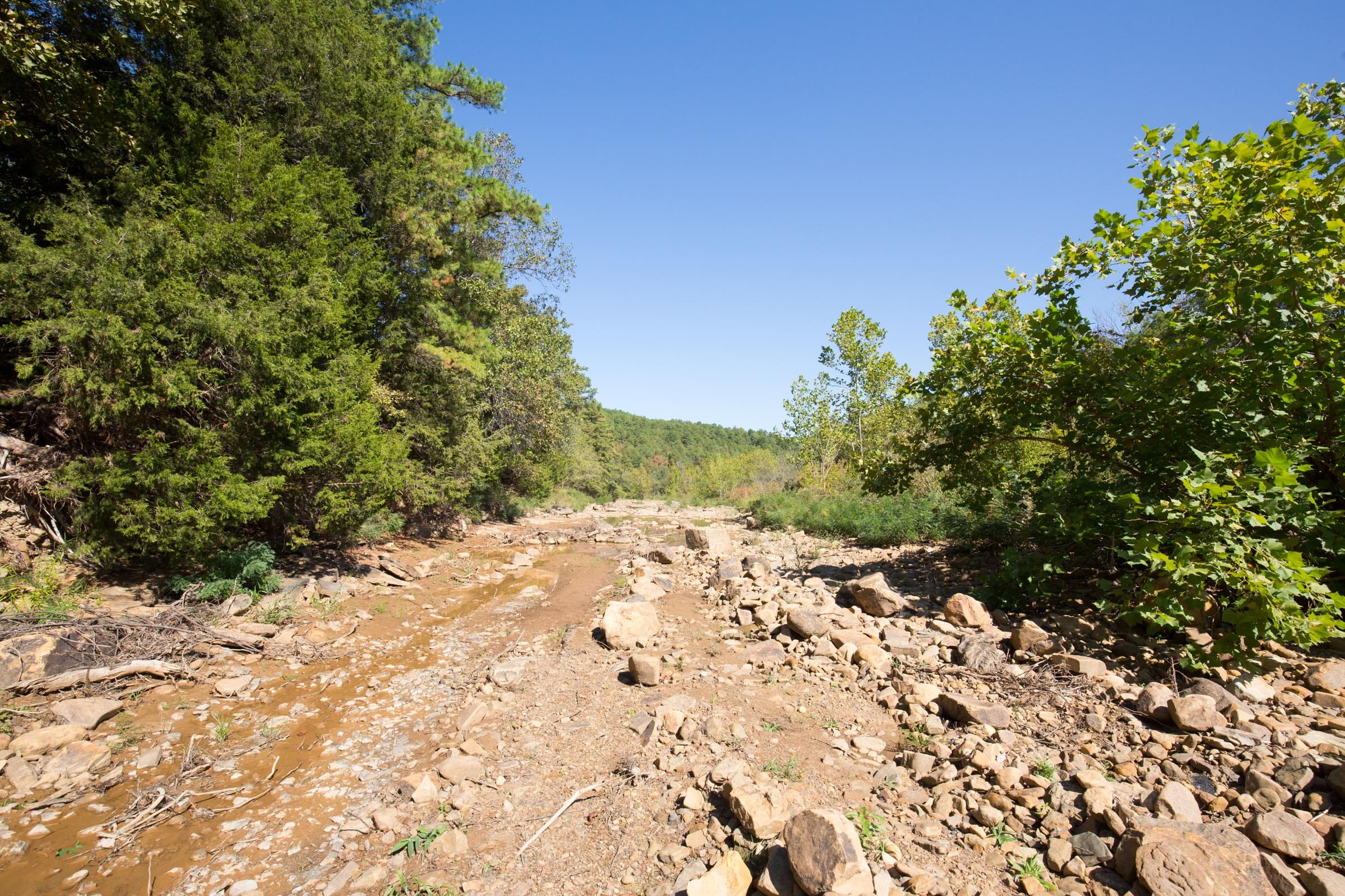 Stone Bridge Phase I Tract 15 photo 7
