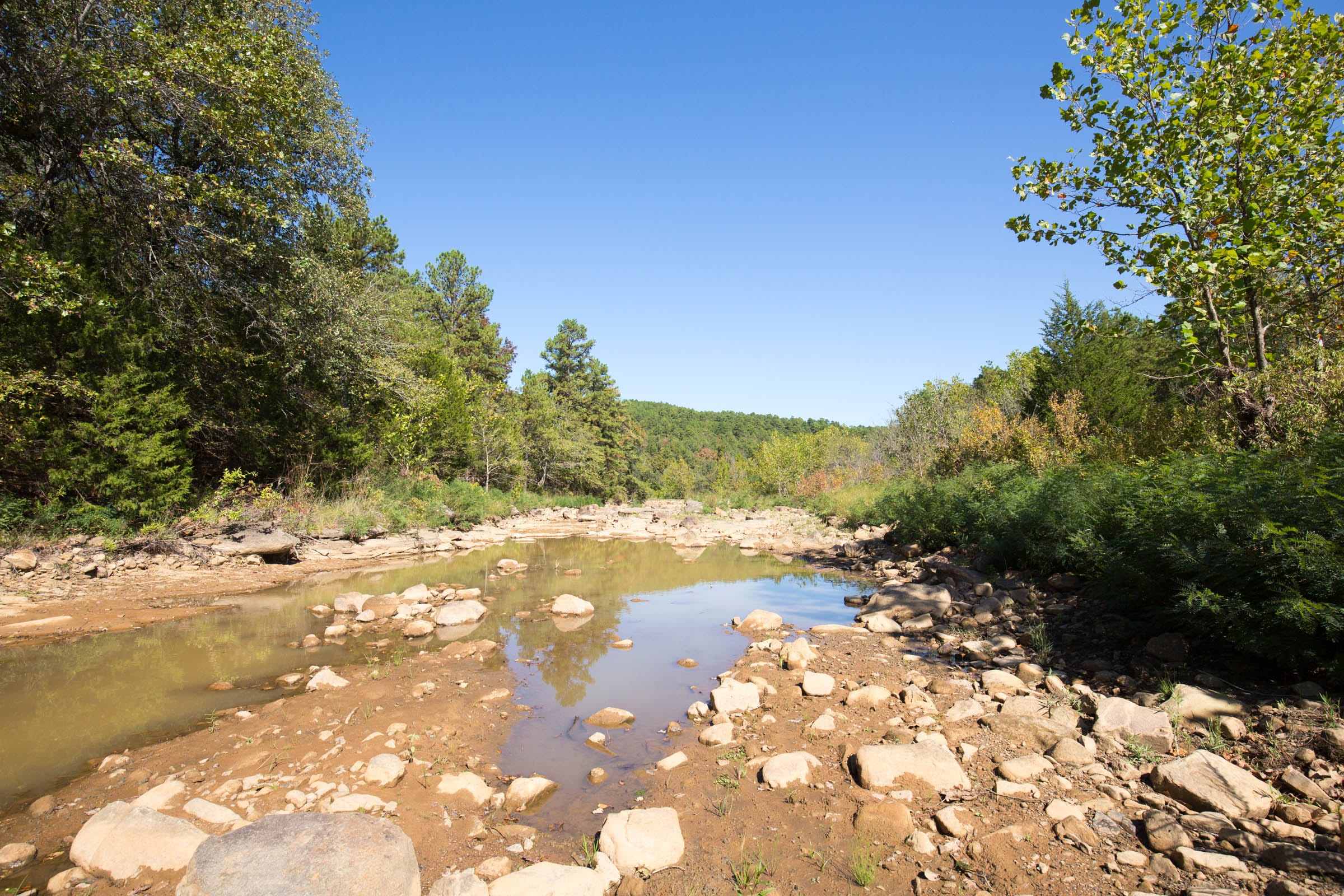 Stone Bridge Phase I Tract 15 photo 9