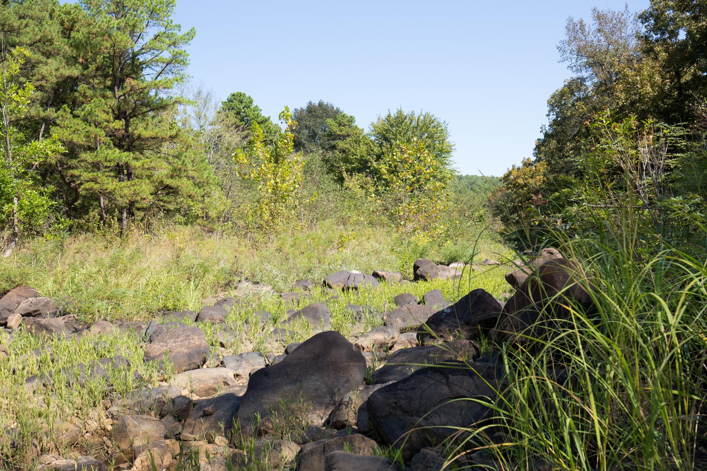 Stone Bridge Phase I Tract 15 photo 16