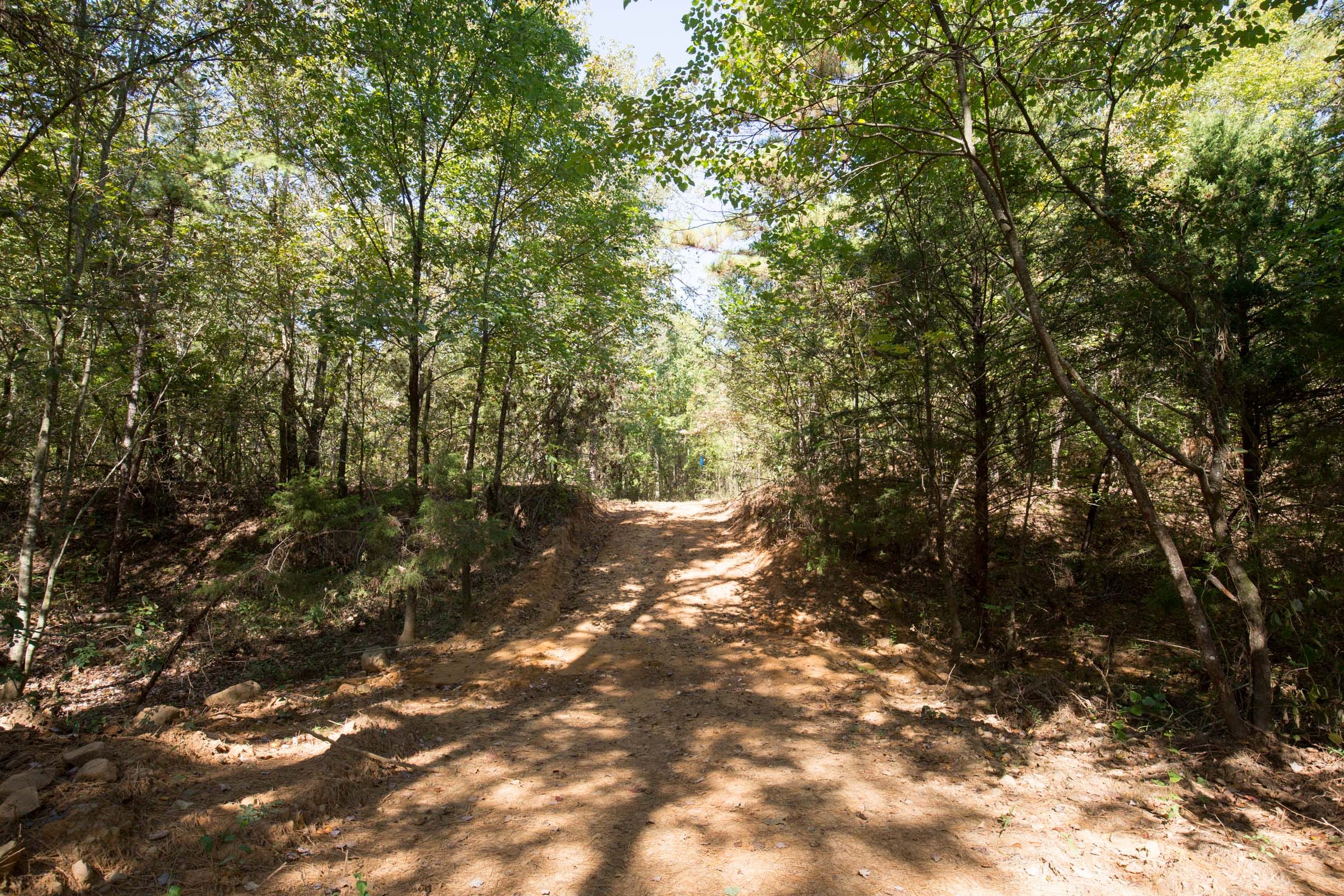 Stone Bridge Phase I Tract 15 photo 18