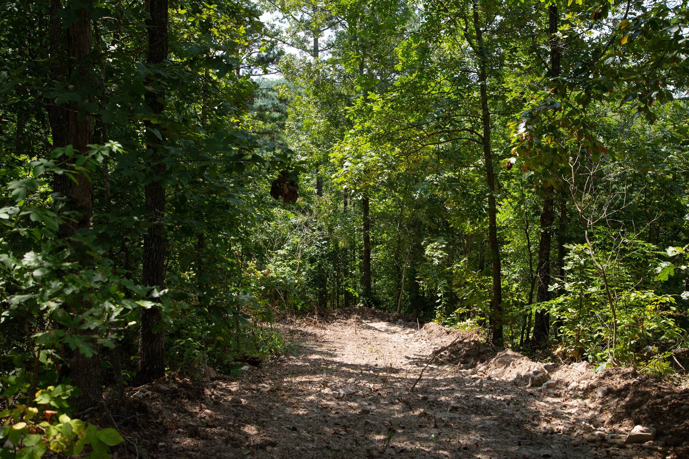Borgmann’s Hollow Phase I Tract 3 photo 2