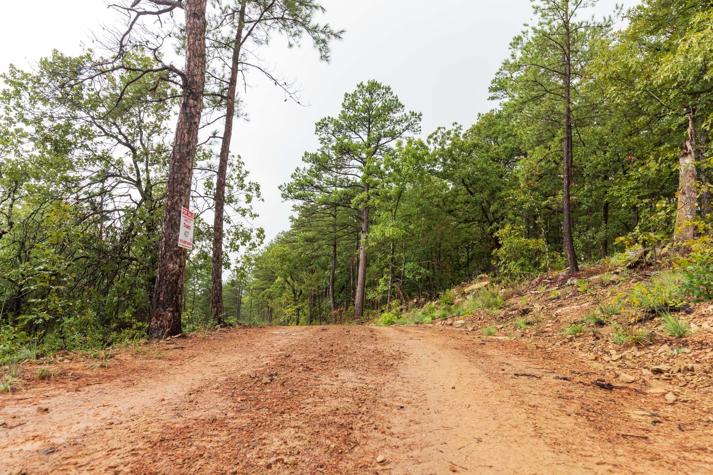 Stone Bridge Phase V Tract 349 photo 1