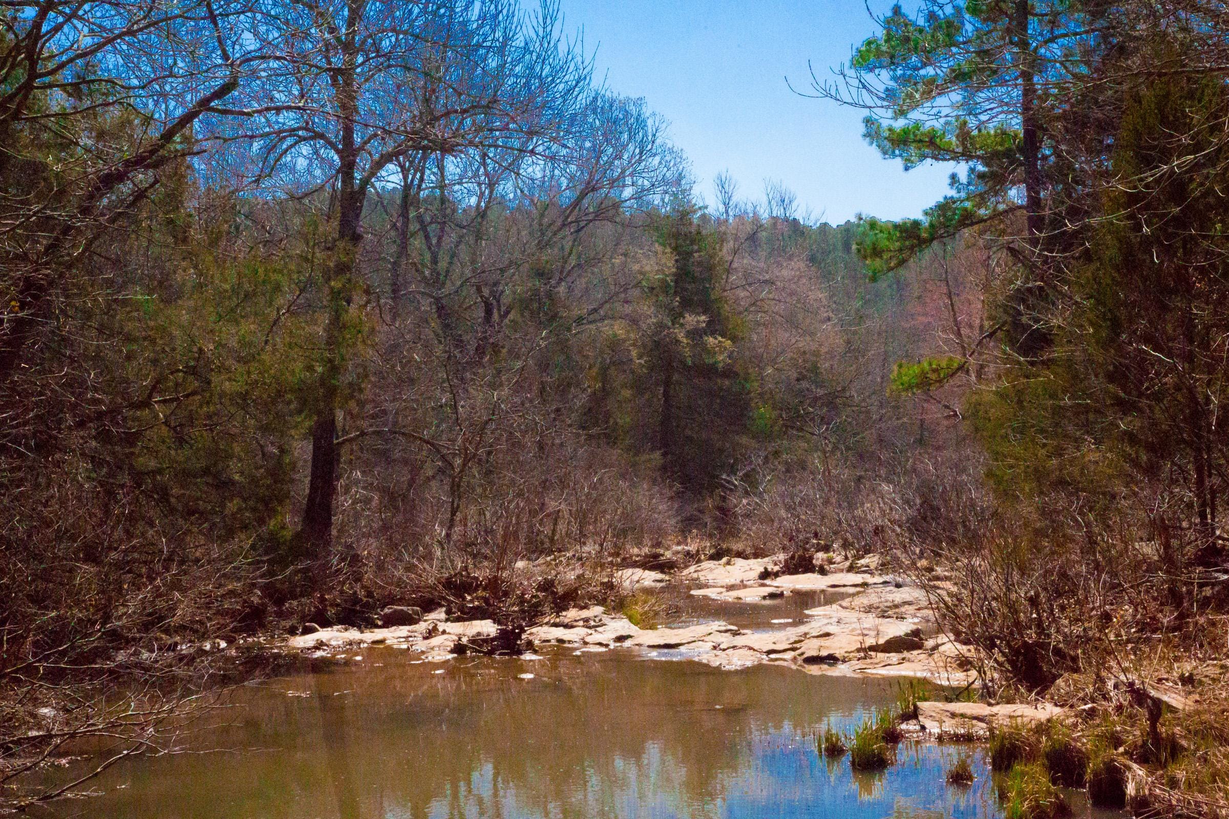 Stone Creek Phase II Tract 128 photo 4