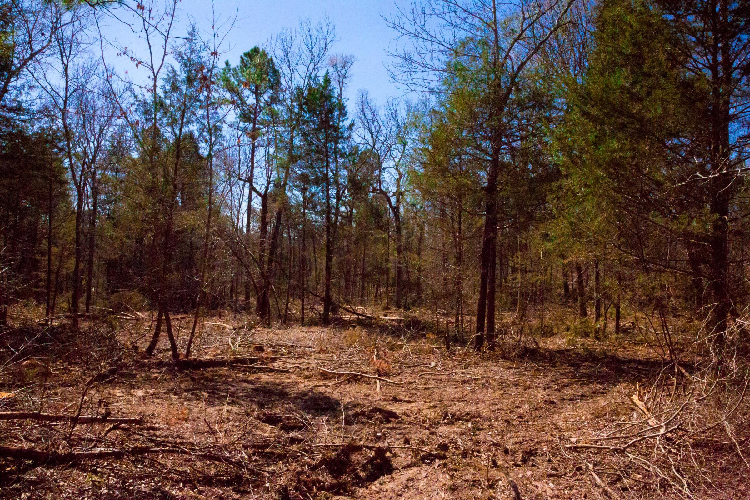 Stone Creek Phase II Tract 128 photo 9