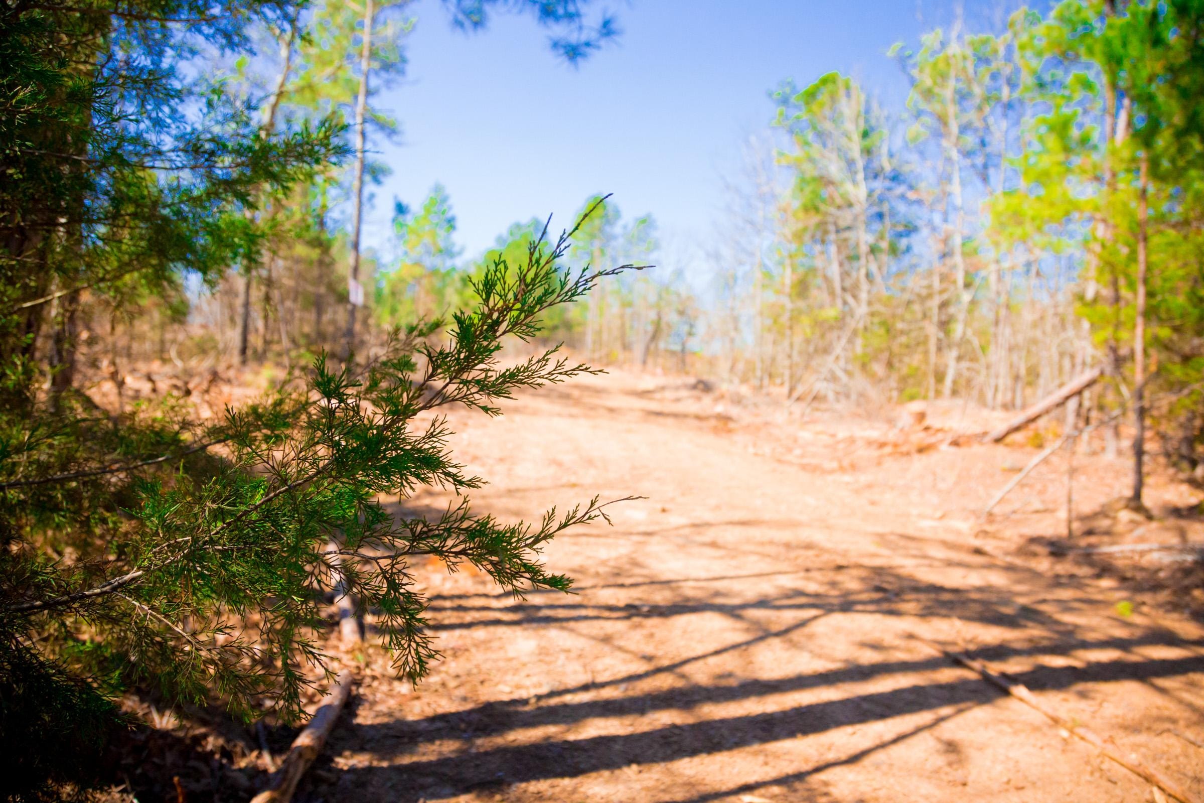 Stone Creek Phase II Tract 128 photo 13
