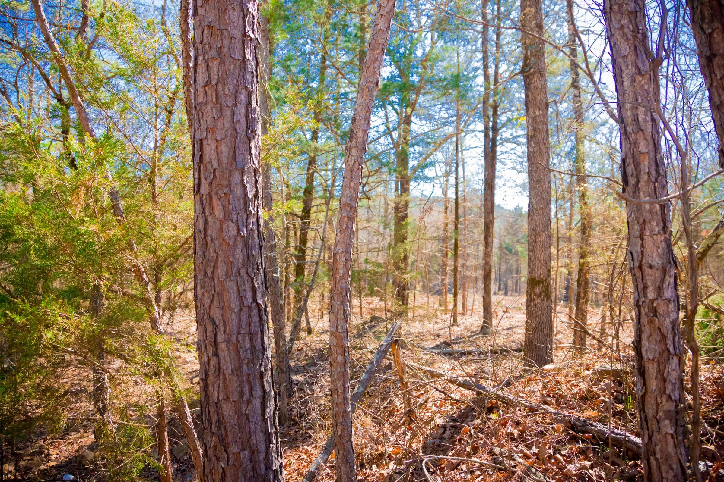 Stone Creek Phase II Tract 128 photo 10