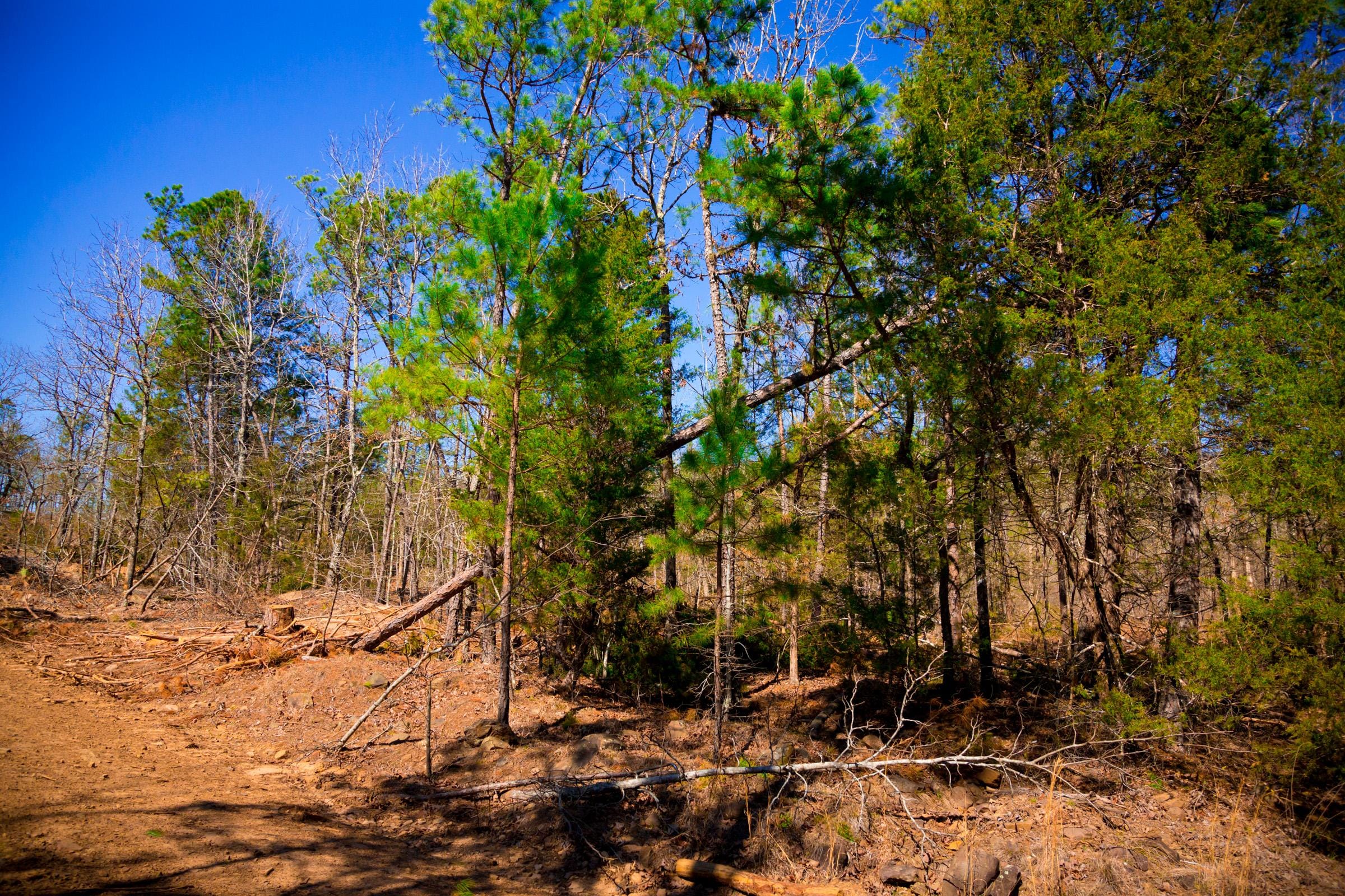 Stone Creek Phase II Tract 128 photo 12