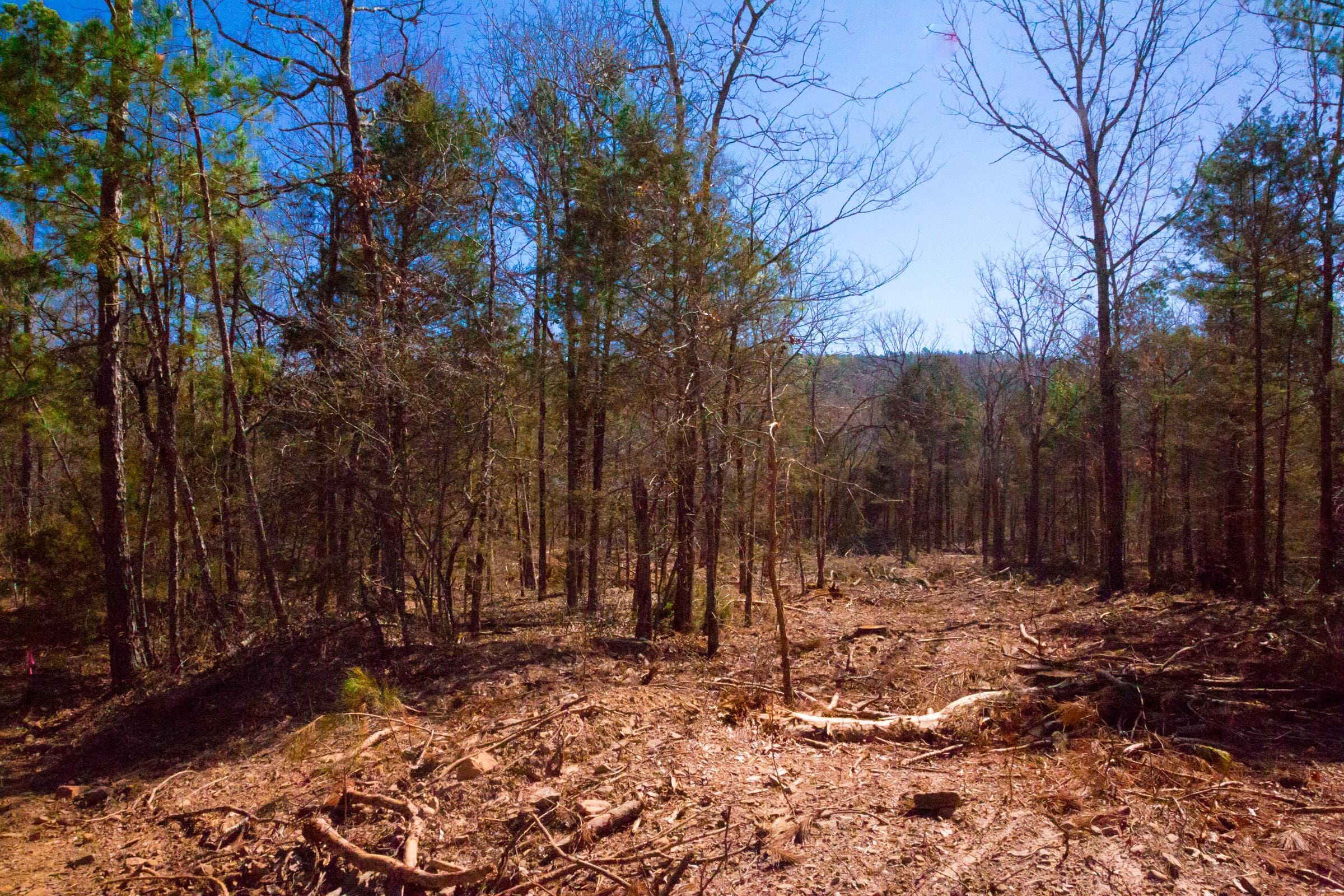 Stone Creek Phase II Tract 128 photo 14