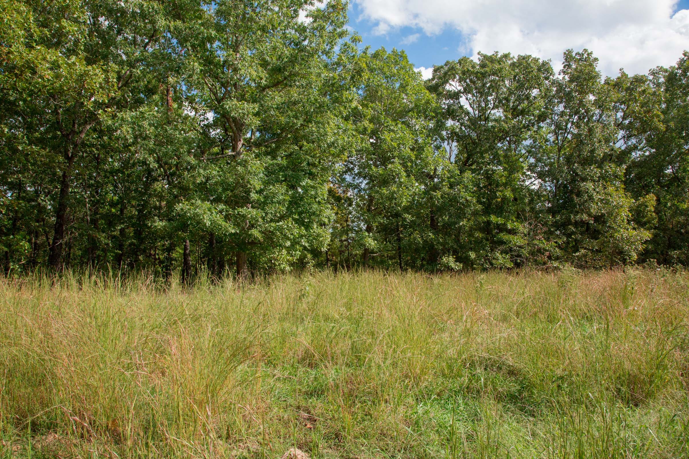 Wagon Wheel Ranch Tract 19 photo 3