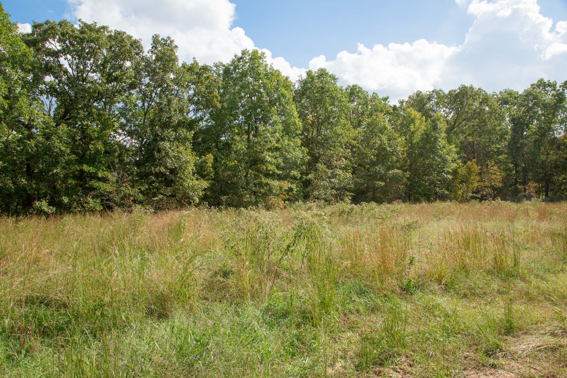 Wagon Wheel Ranch Tract 19 photo 1