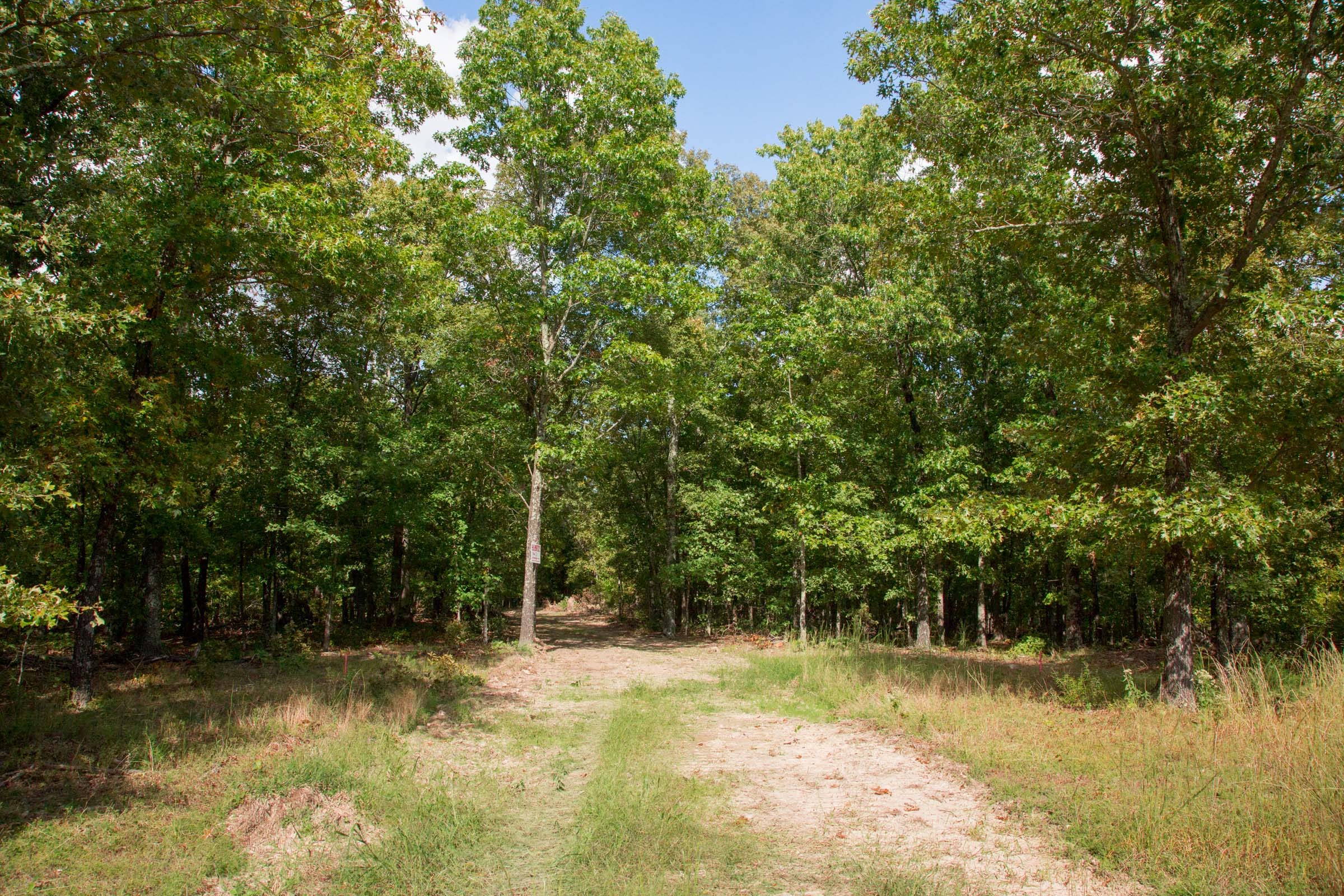 Wagon Wheel Ranch Tract 19 photo 4