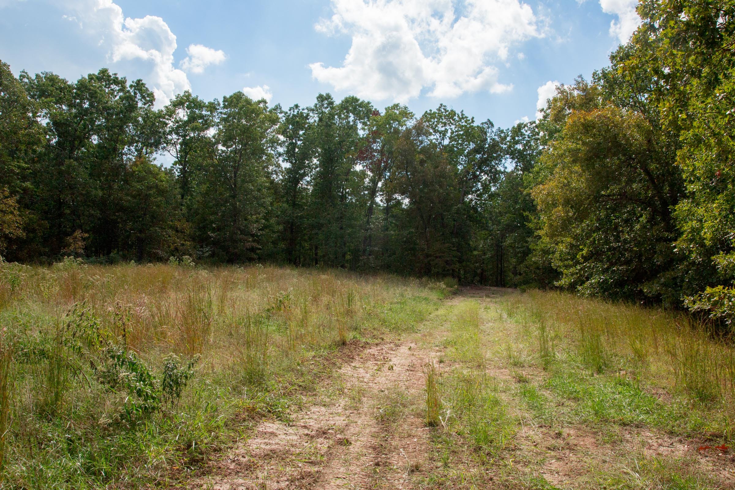 Wagon Wheel Ranch Tract 19 photo 5