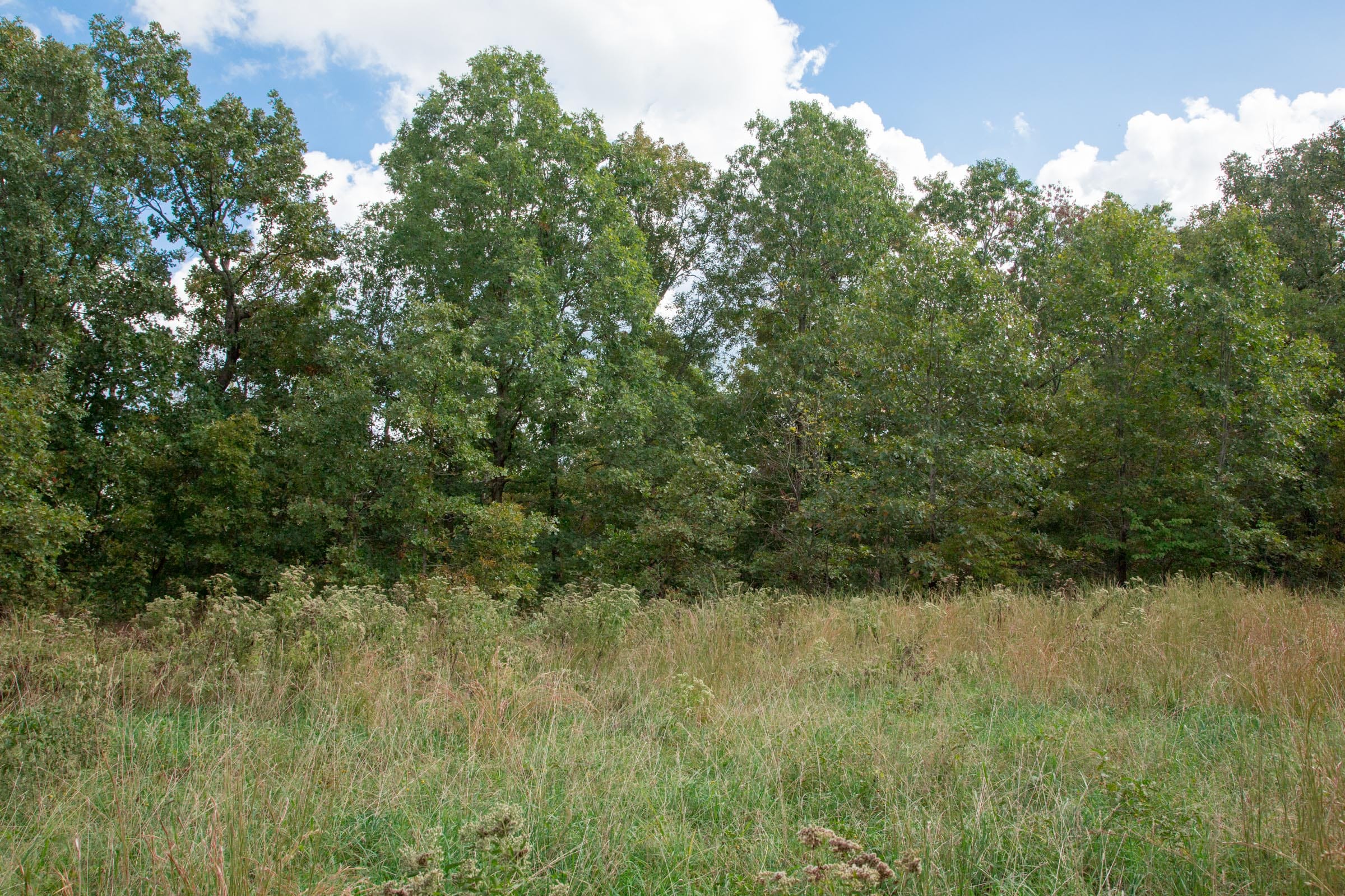 Wagon Wheel Ranch Tract 19 photo 6