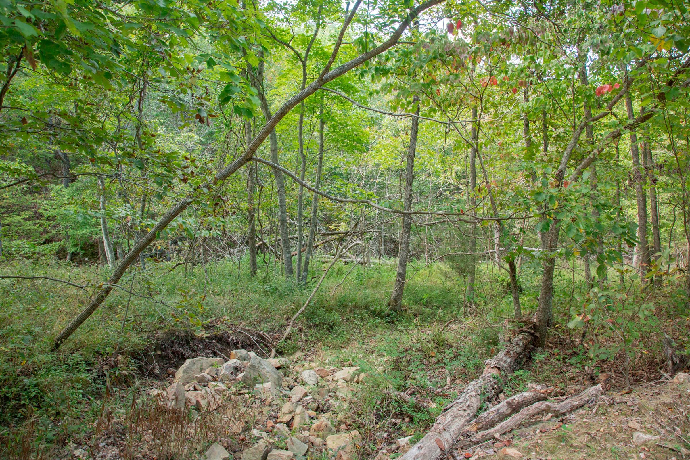 Wagon Wheel Ranch Tract 19 photo 7