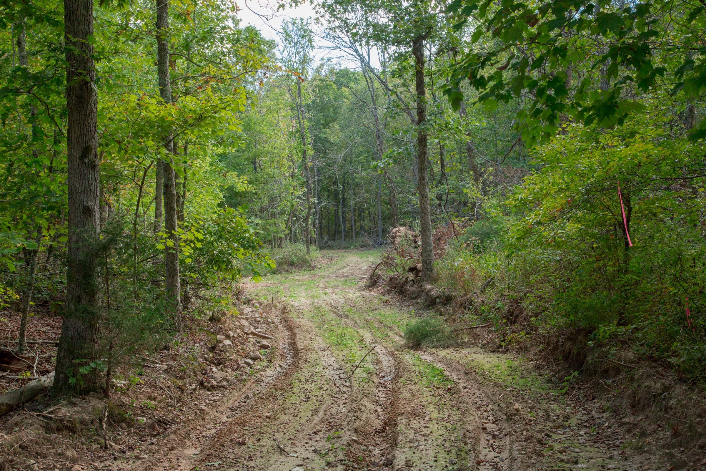 Wagon Wheel Ranch Tract 19 photo 2