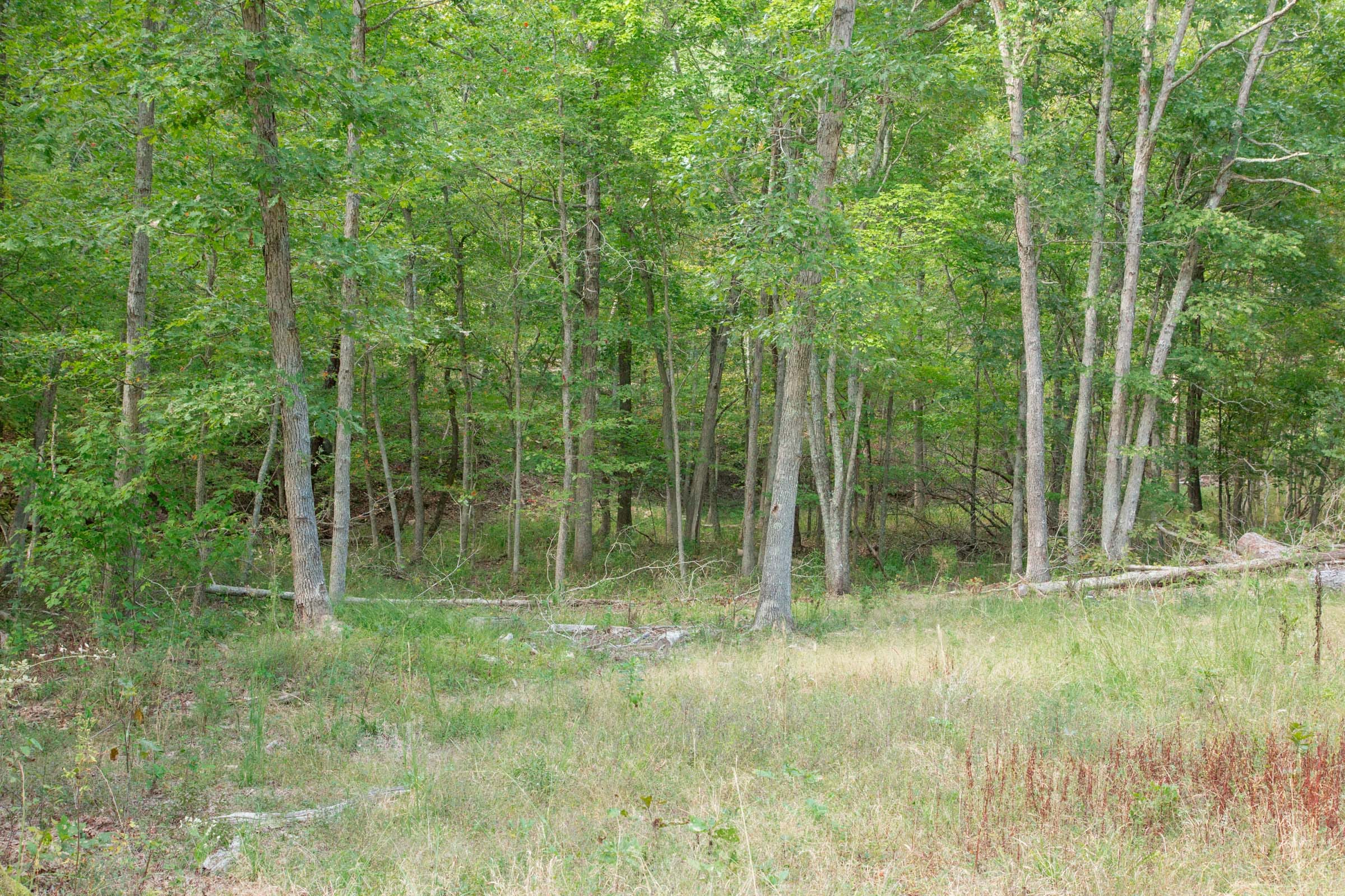 Wagon Wheel Ranch Tract 19 photo 8