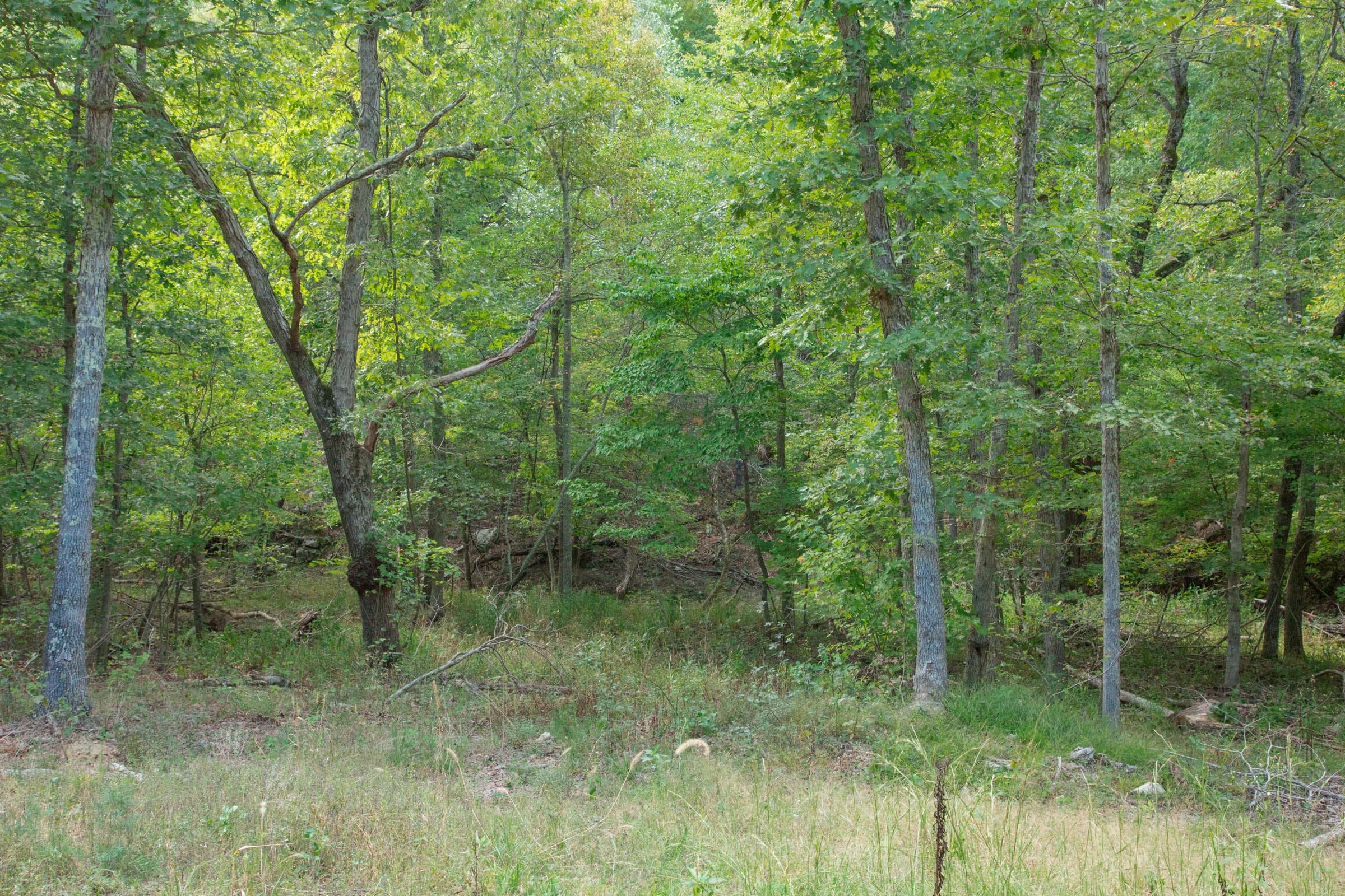 Wagon Wheel Ranch Tract 19 photo 9