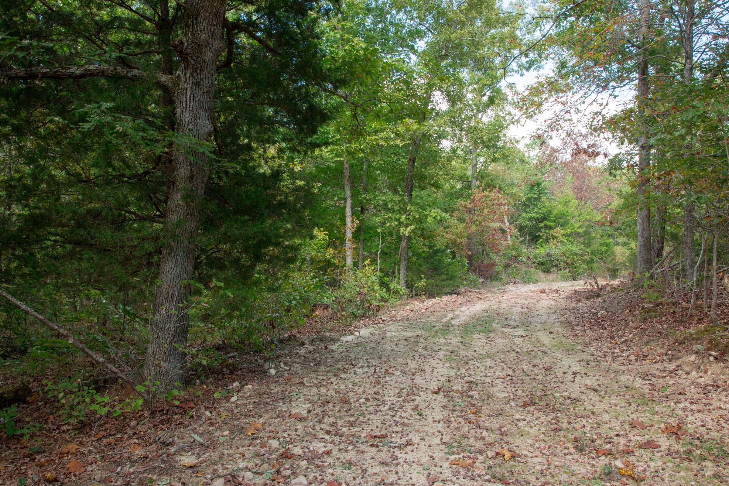 Wagon Wheel Ranch Tract 19 photo 10