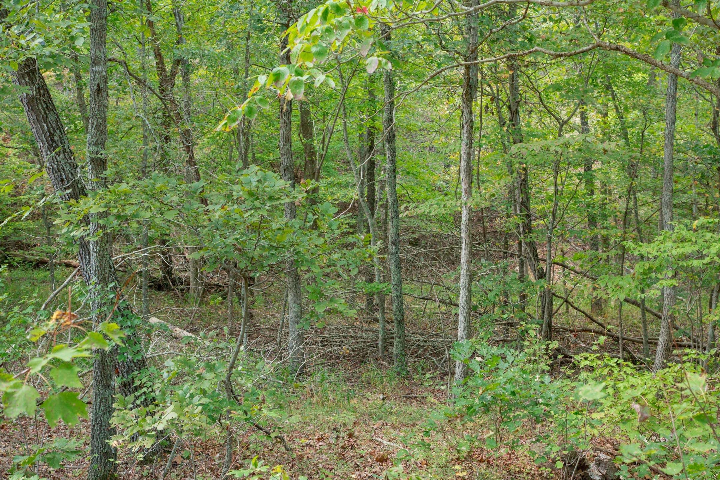 Wagon Wheel Ranch Tract 19 photo 11